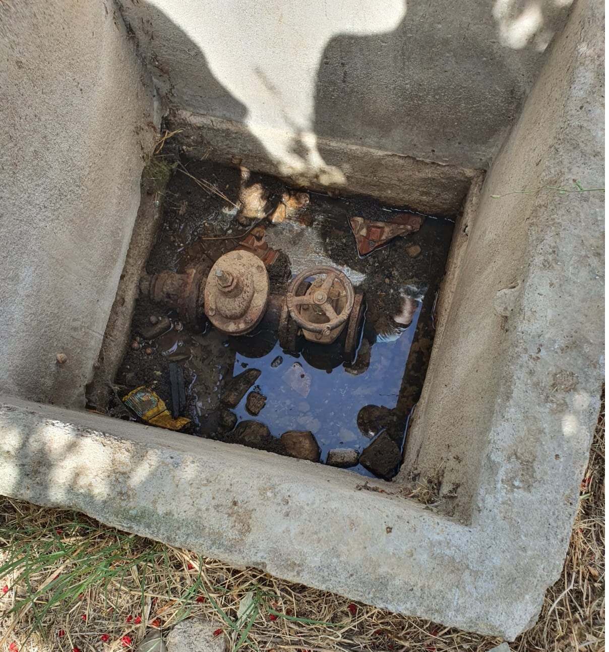 Salih Erkek yazdı...