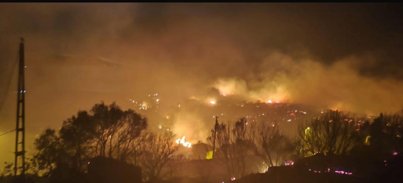 Dikili'de çıkan yangın kontrol altına alındı