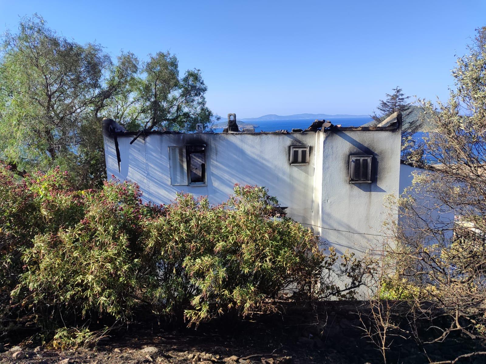 Dikili'de çıkan yangın kontrol altına alındı