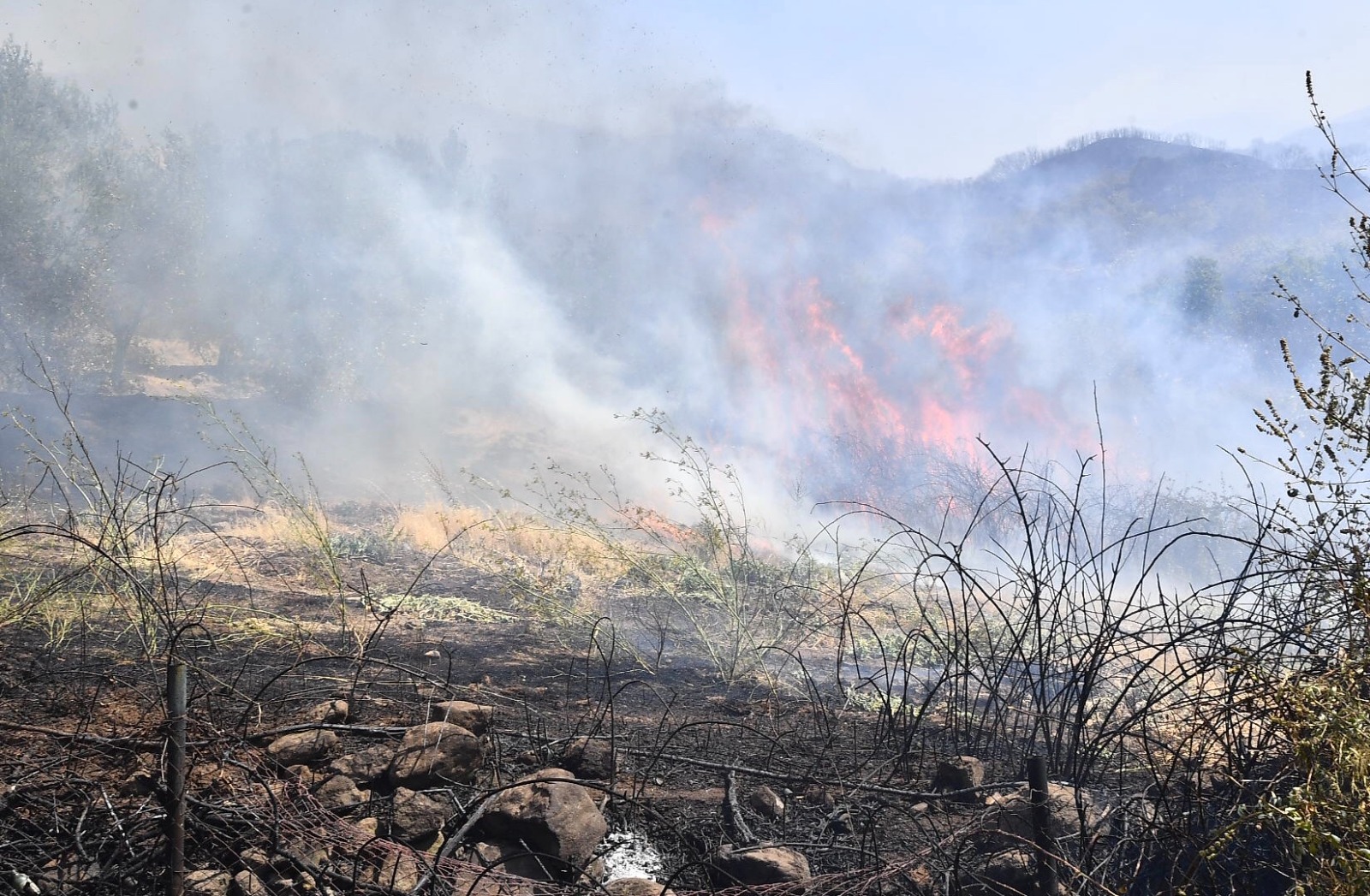 Yamanlar Dağı’nda çıkan yangınla mücadele sürüyor
