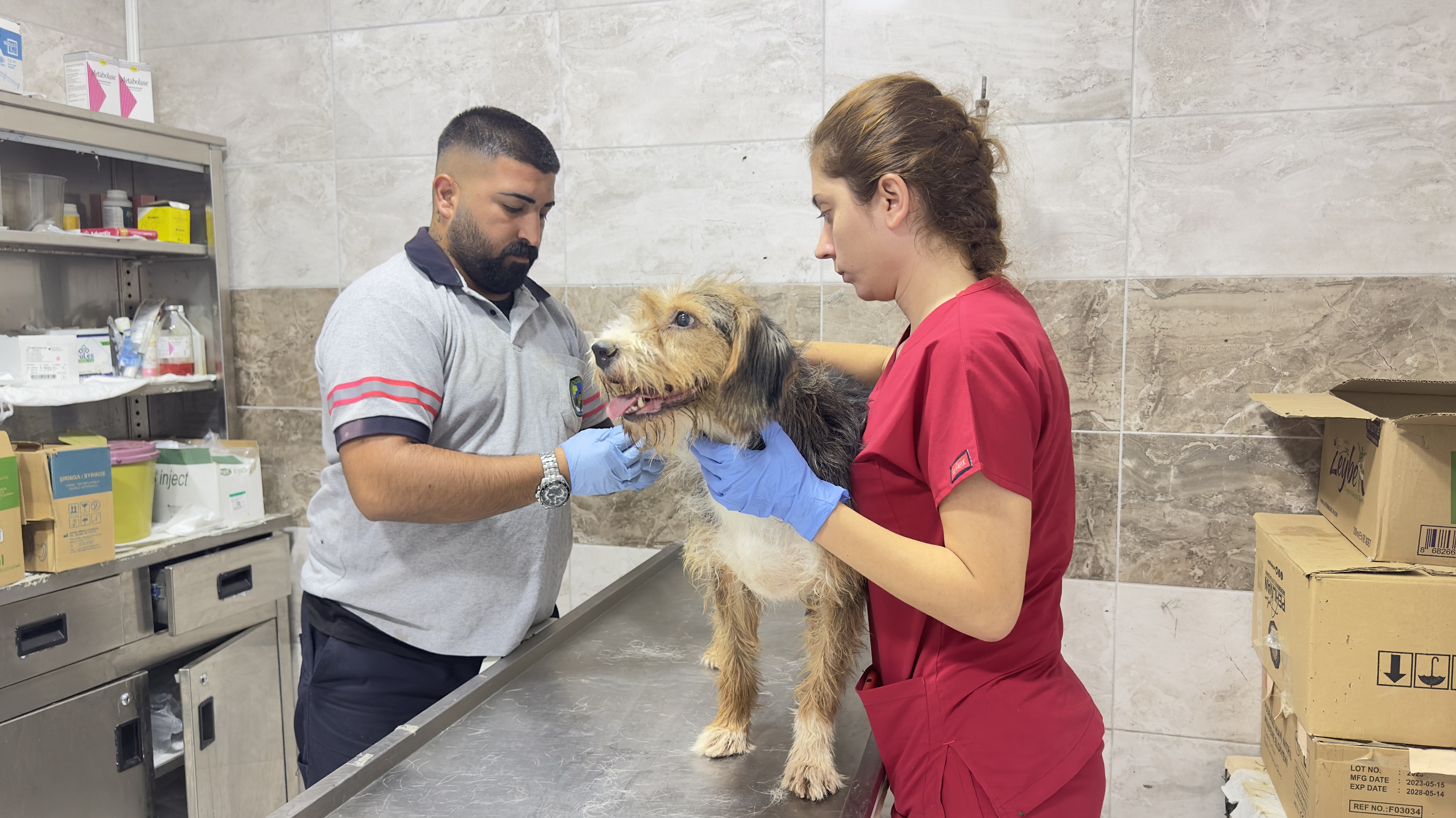 Yangından kurtarılan can dostlara Menemen’de şefkat eli