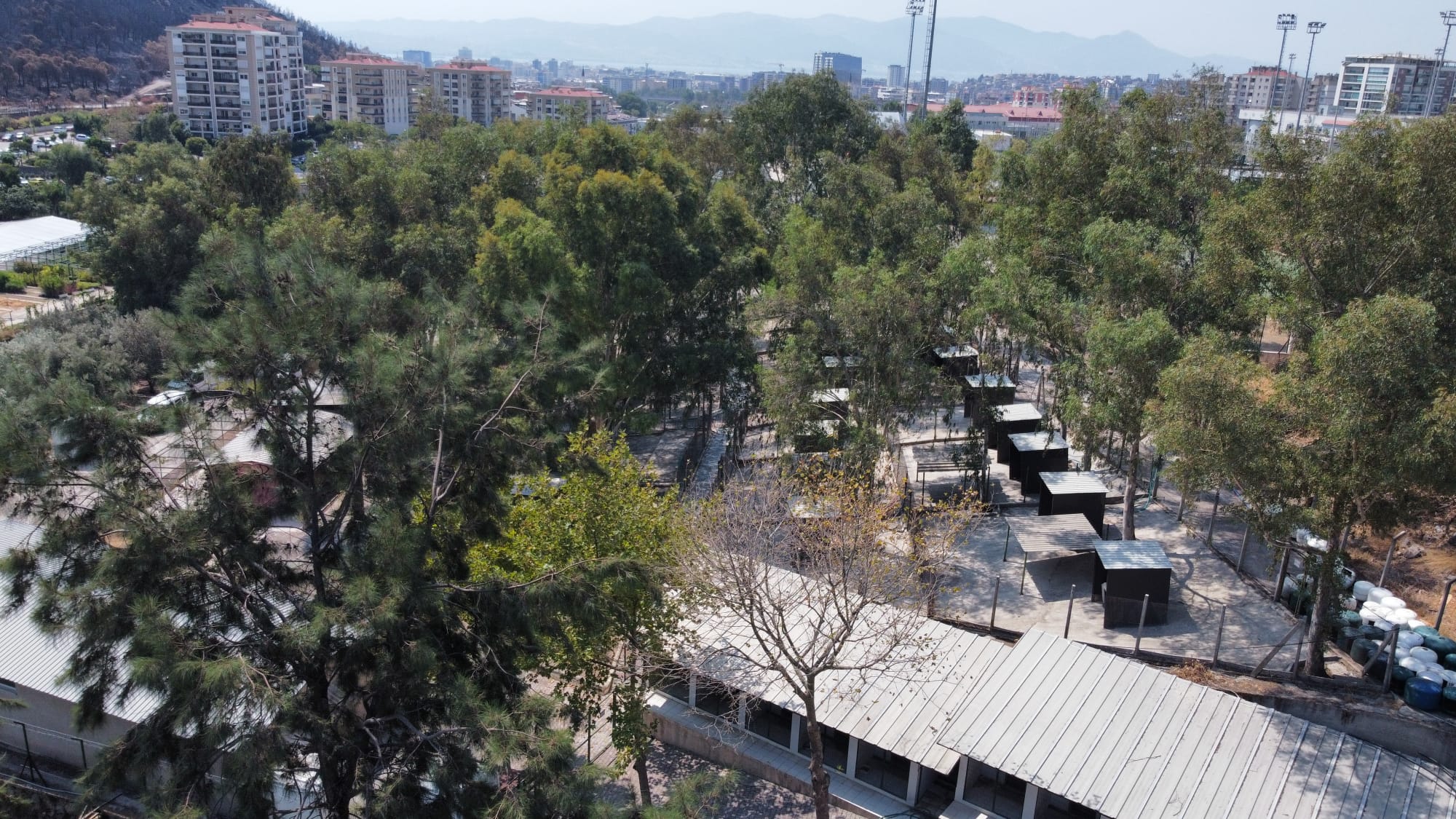 Karşıyaka, Türkiye’ye örnek bir hayvan kompleksine kavuşacak!