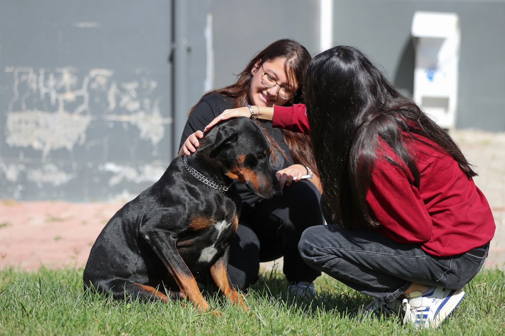 Aliağalı Öğrencilerden Pati Park’a Ziyaret