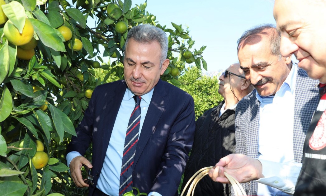 İzmir’de Akdeniz Meyve Sineğiyle Mücadele İçin Biyoteknik Tuzak Dağıtımı Yapıldı