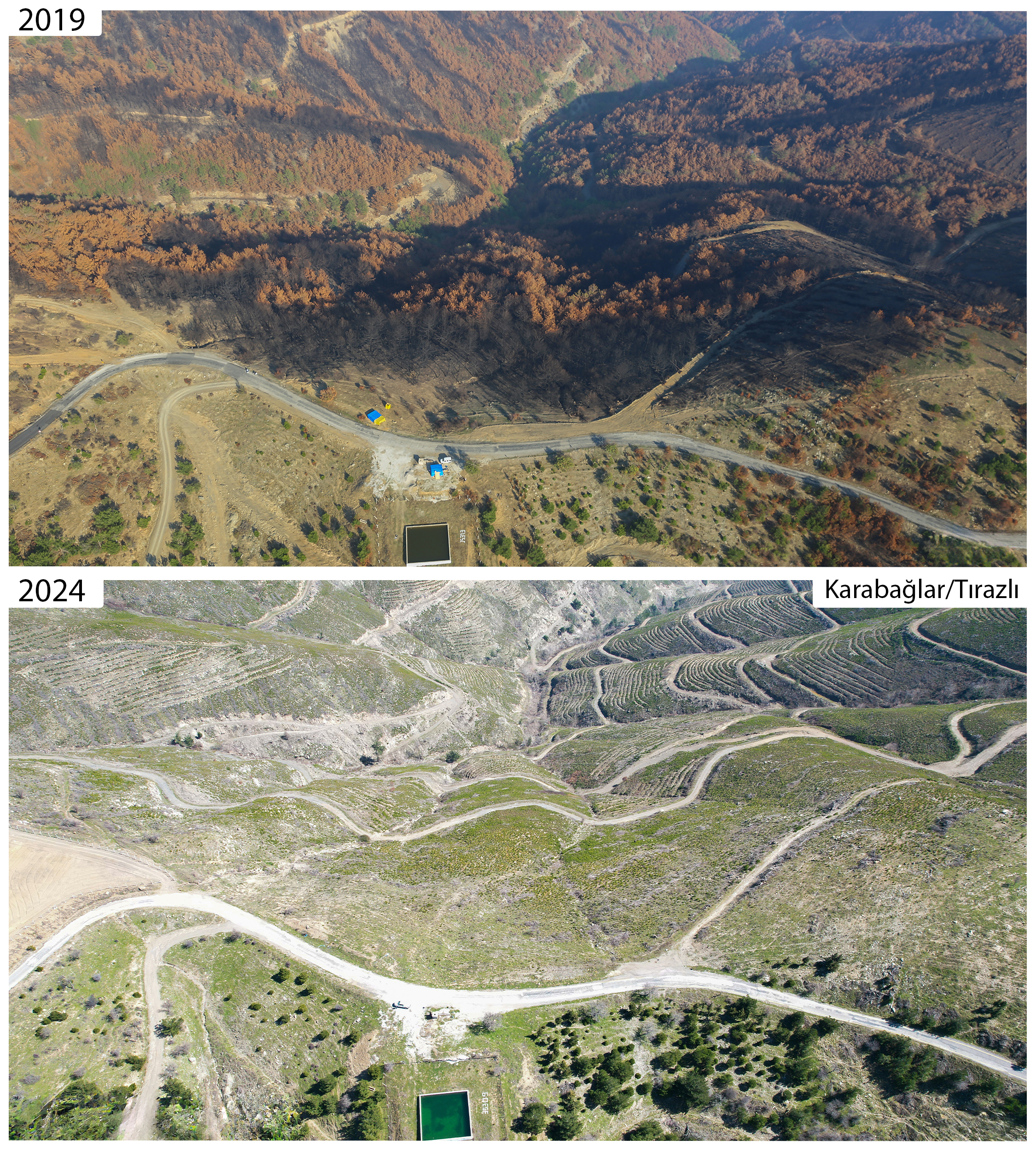 Başkan Saygılı'dan Milli Ağaçlandırma Günü'nde 'yeşil' mesaj!