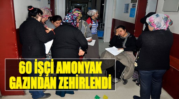 60 İşçi Amonyak Gazından Zehirlendi