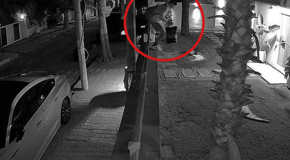 İzmir Çeşme'de şaşırtan misafir