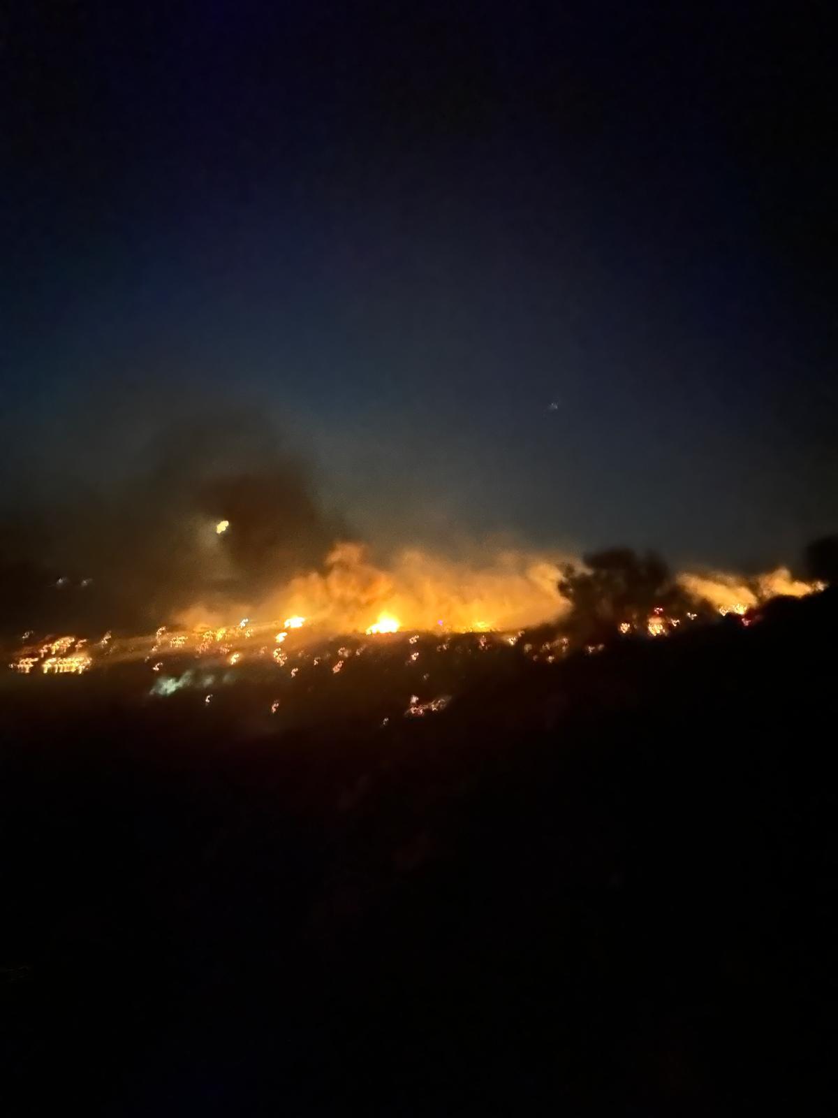 Dikili'de çıkan yangın kontrol altına alındı