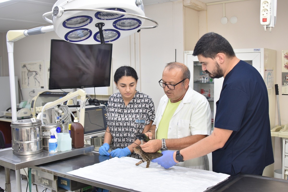 Başkan Yiğit: “Öldürme yasasına karşıyız”