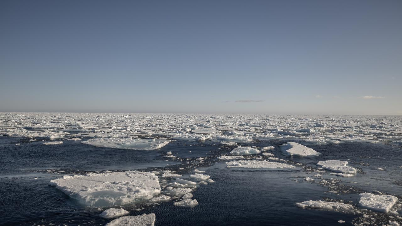 Türk bilim kadınları Kuzey Buz Denizi’nde araştırmaya yoğunlaştı