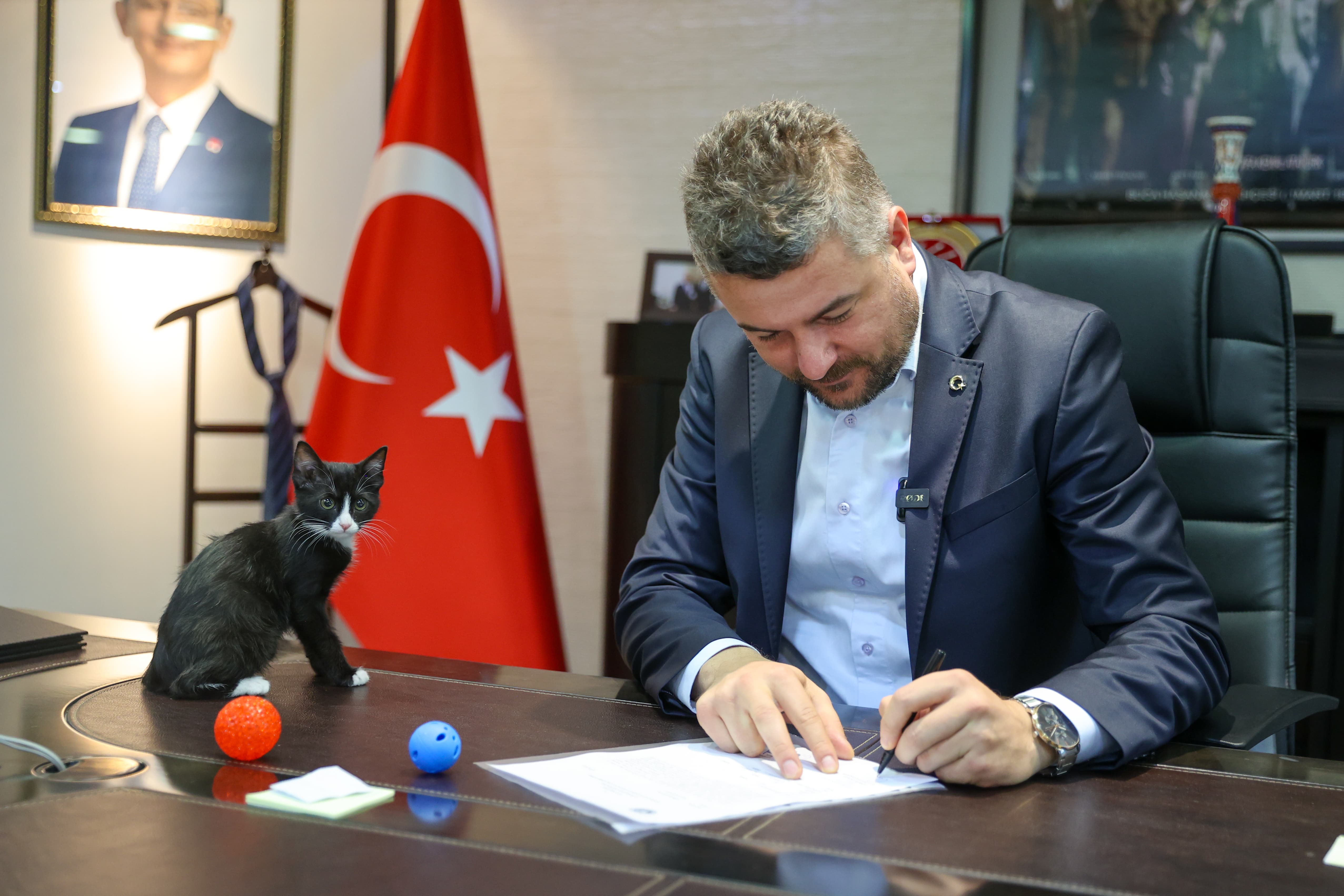 Buca Belediyesi’nden ücretsiz çip takma ve kısırlaştırma uygulaması