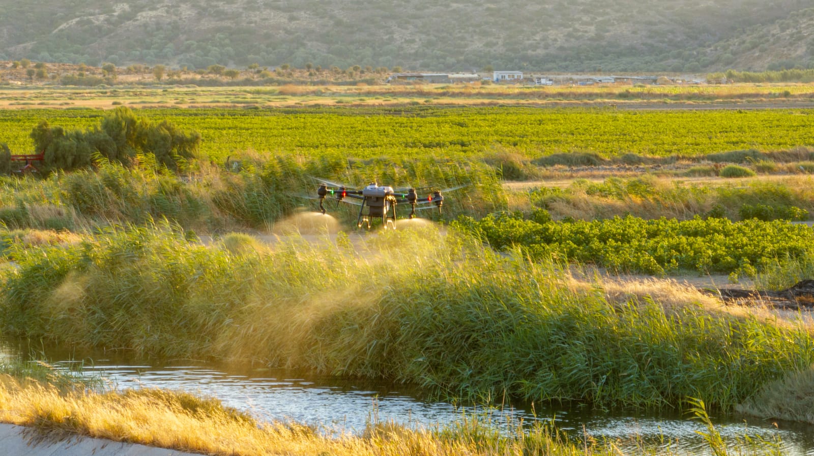 İzmir’de sivrisinekle havadan ve karadan mücadele sürüyor