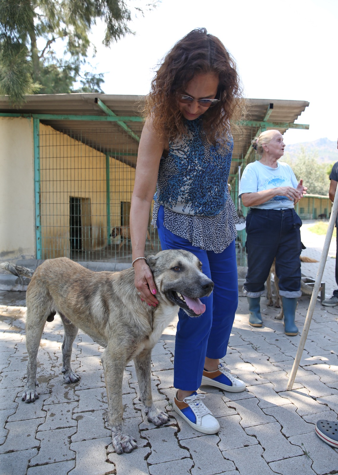 Karşıyaka, Türkiye’ye örnek bir hayvan kompleksine kavuşacak!