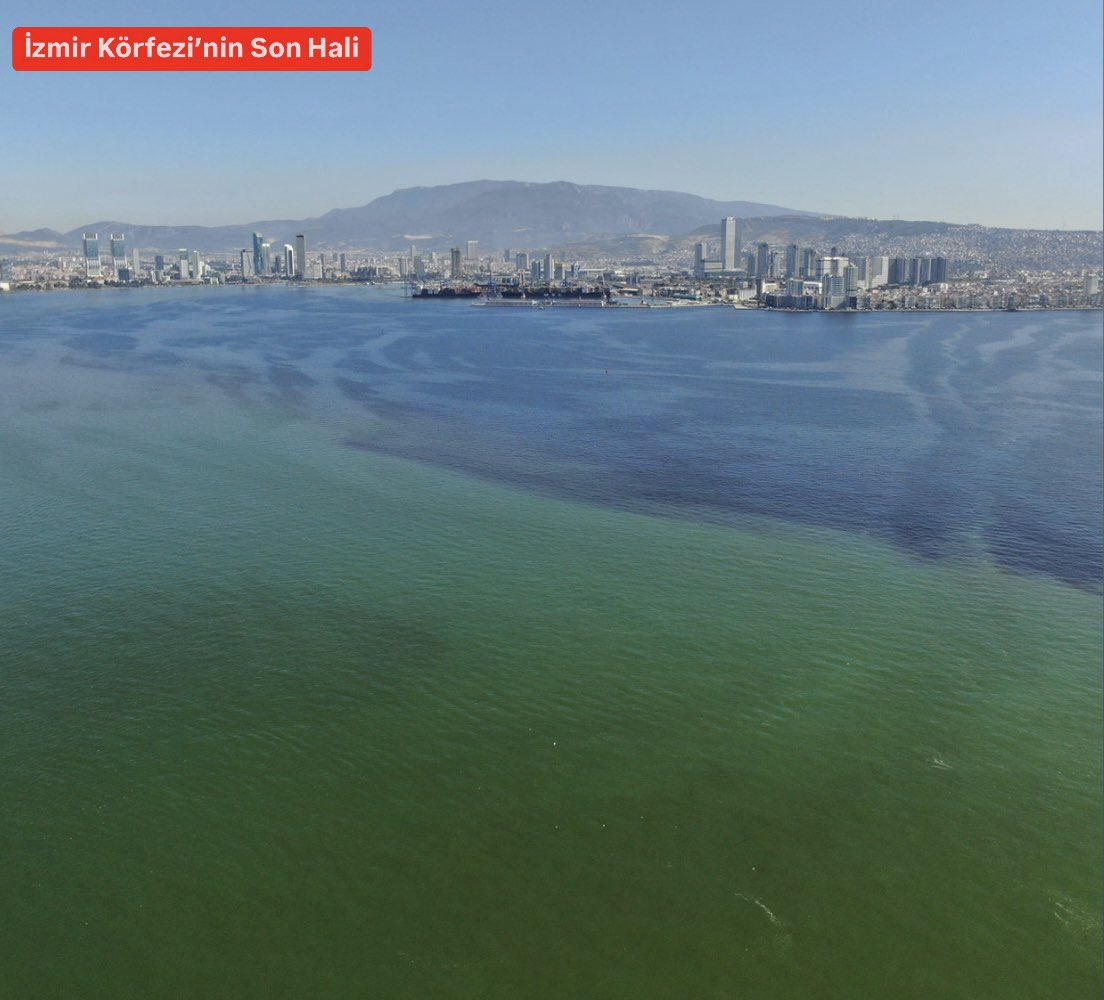 AK Partili İnan'dan Körfez çıkışı: Biyolojik soykırım!