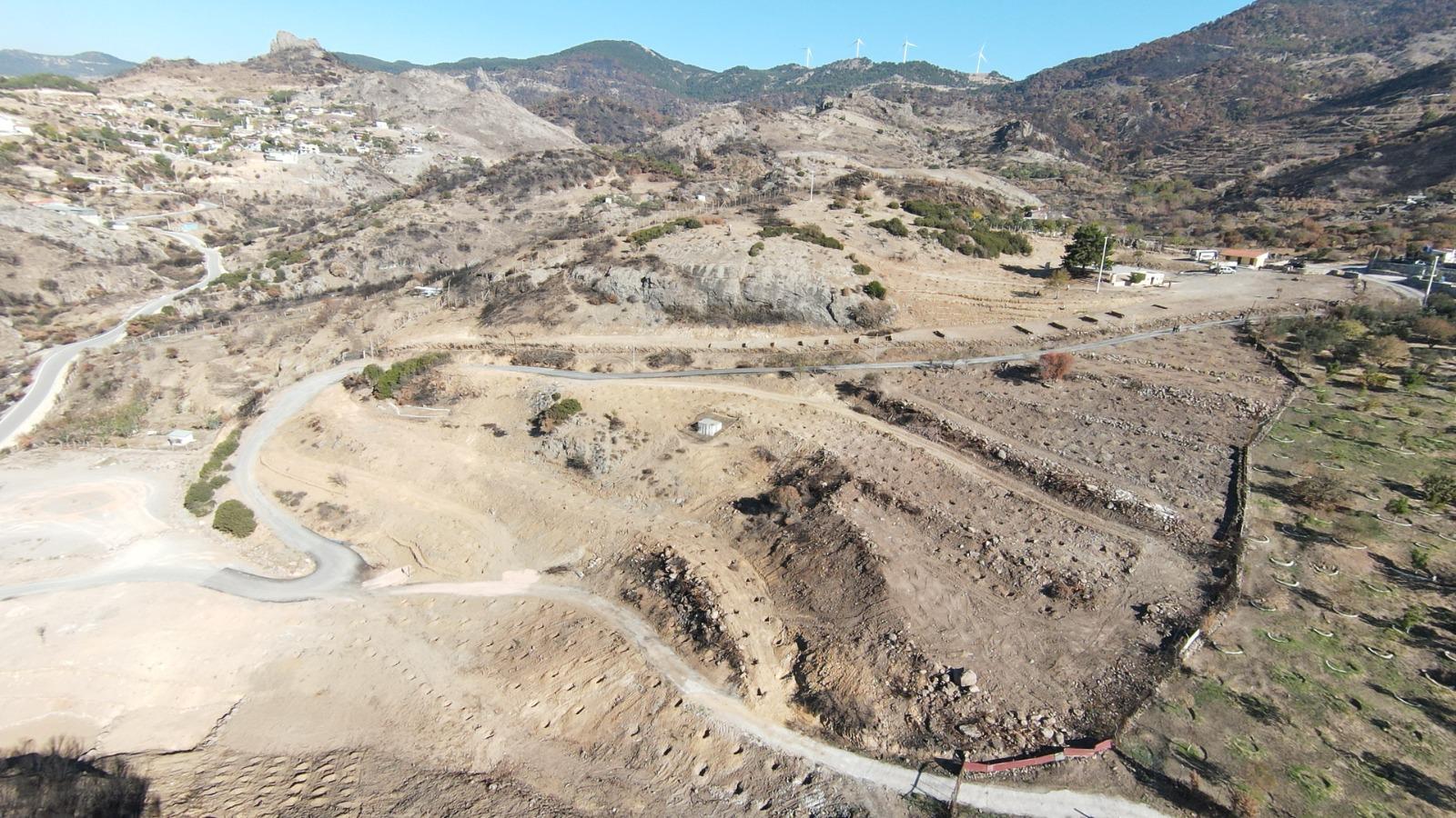 Yanan araziler bal ormanıyla küllerinden doğuyor 