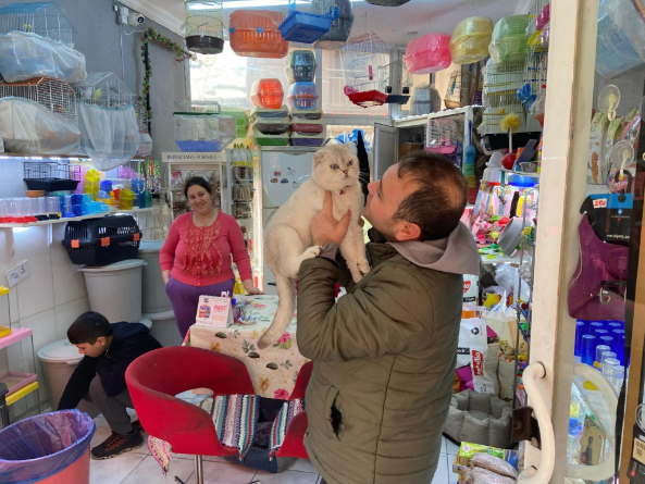 İzmir'de akıl almaz hırsızlık: mantosuna gizleyerek kedi çaldı!