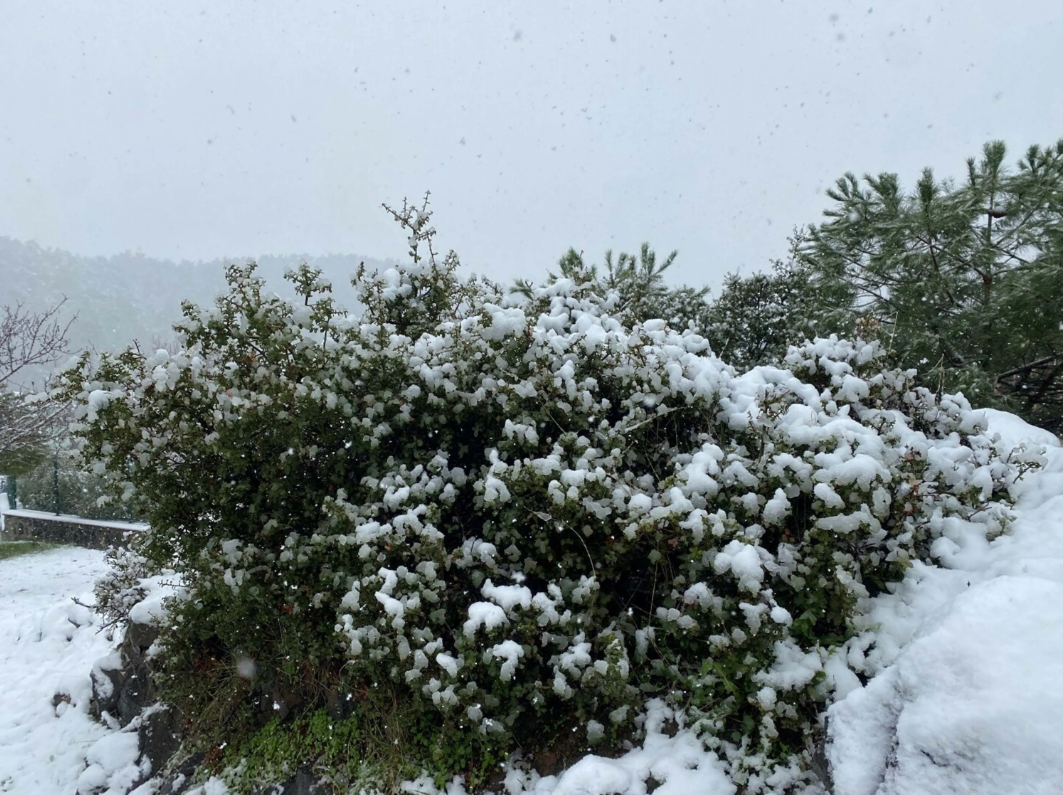 İzmir'de kar yağışı sonrası güzel görüntüler oluştu