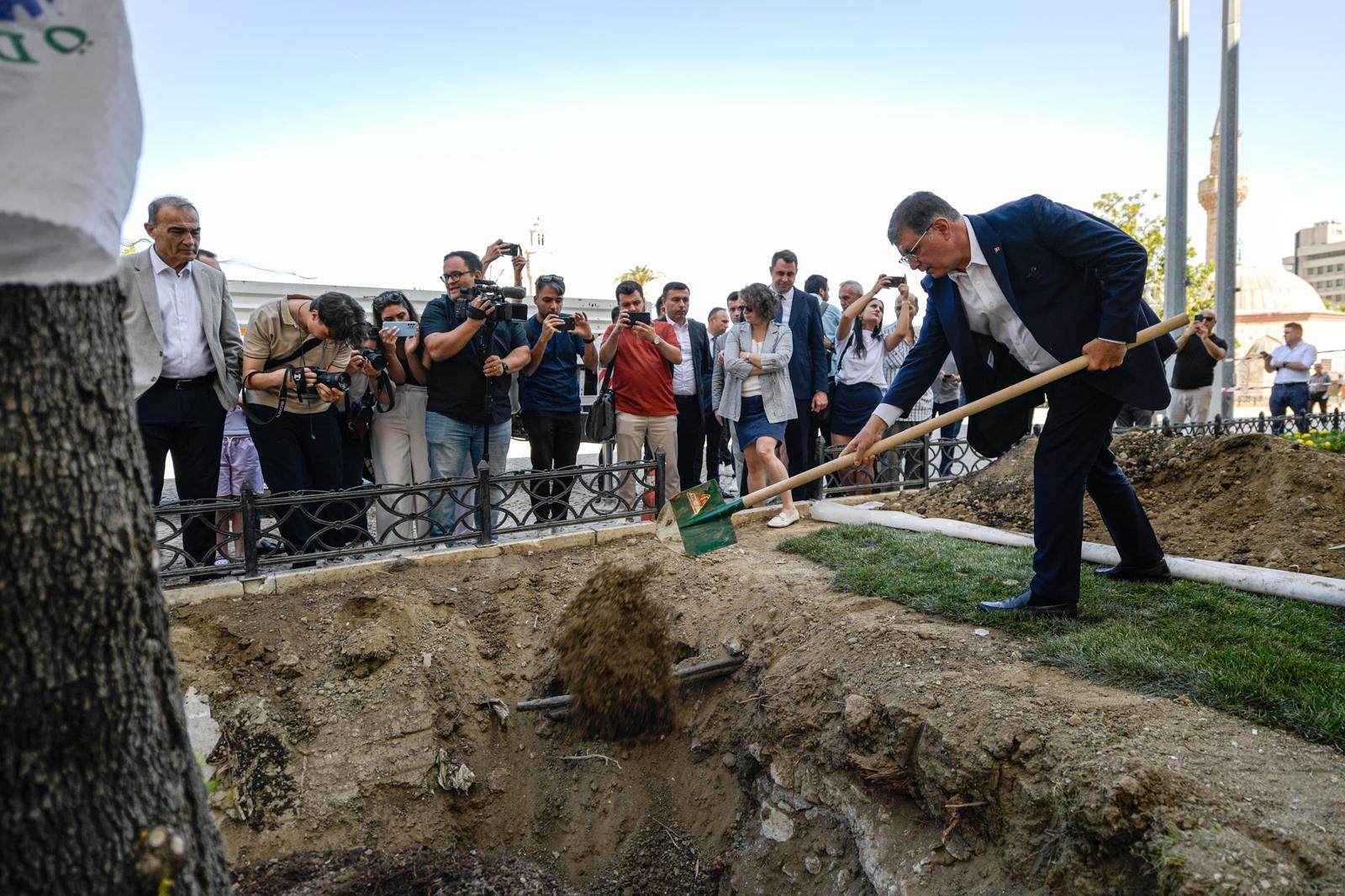 Devrilen çınar ağacı yerine yenisi dikildi
