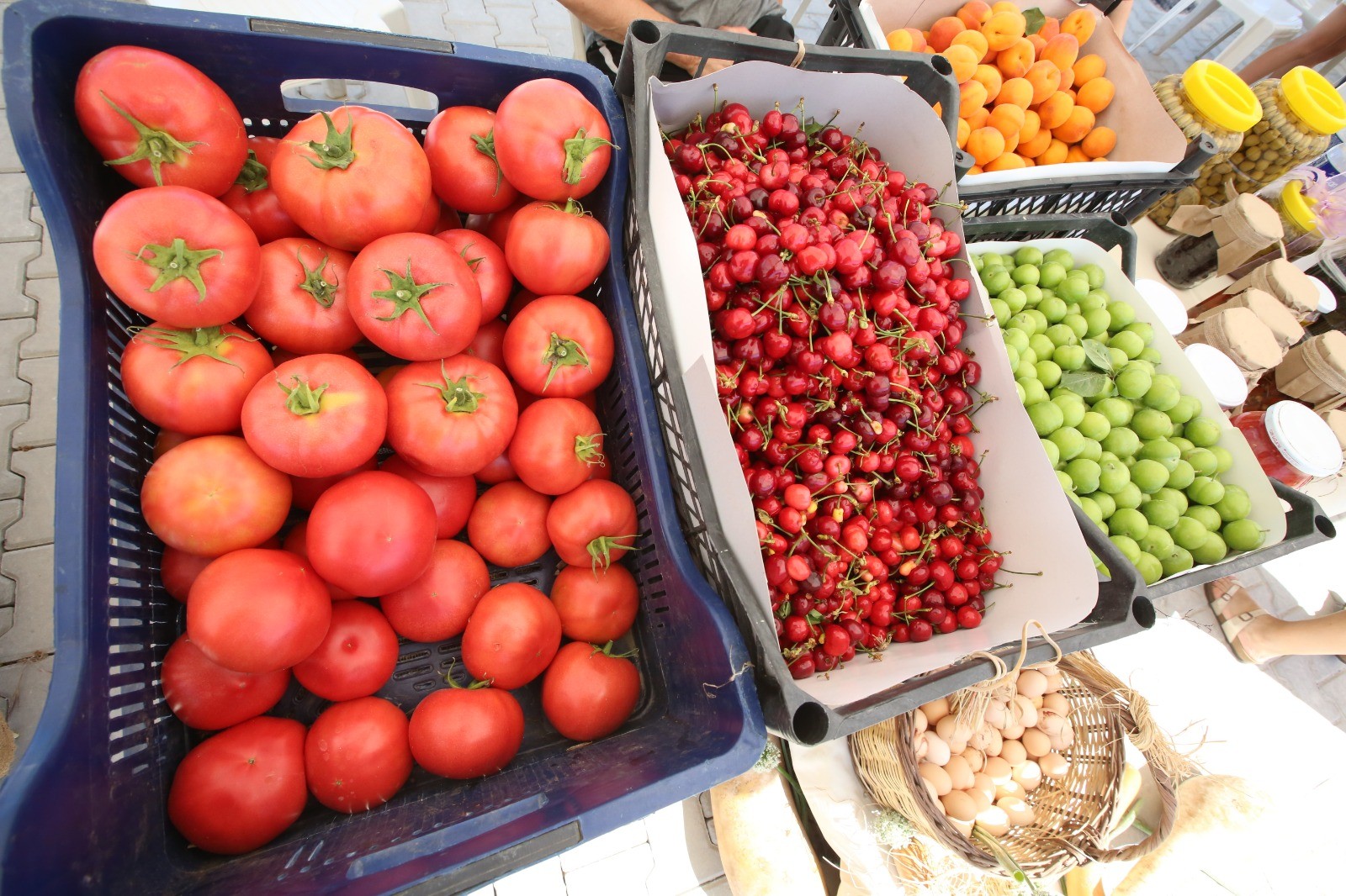 Efes Tarlası Yaşam Köyü’nde Üretici Pazarı 19 Ekim'de kapılarını açıyor
