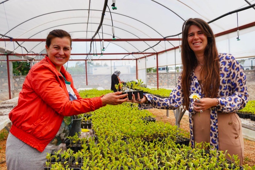 Başkan Denizli üreticilere 50 bin adet fidan dağıttı