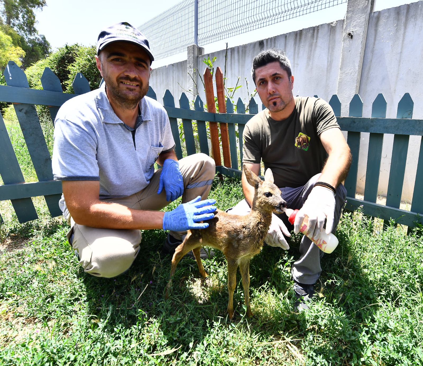 Yavru karacaya anne şefkati Doğal Yaşam Parkı'nın sevimli misafiri biberonla besleniyor