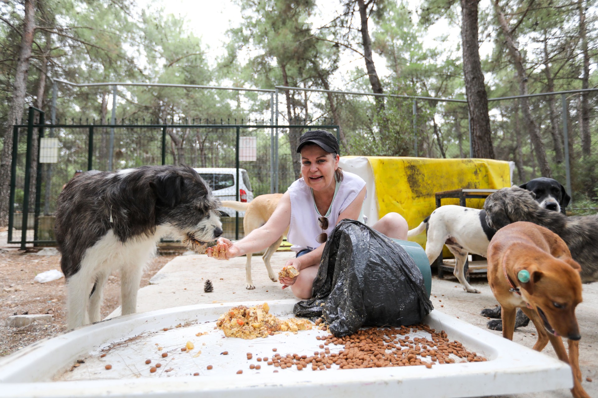 Buca'da kalan yemekler patili dostlara gidiyor