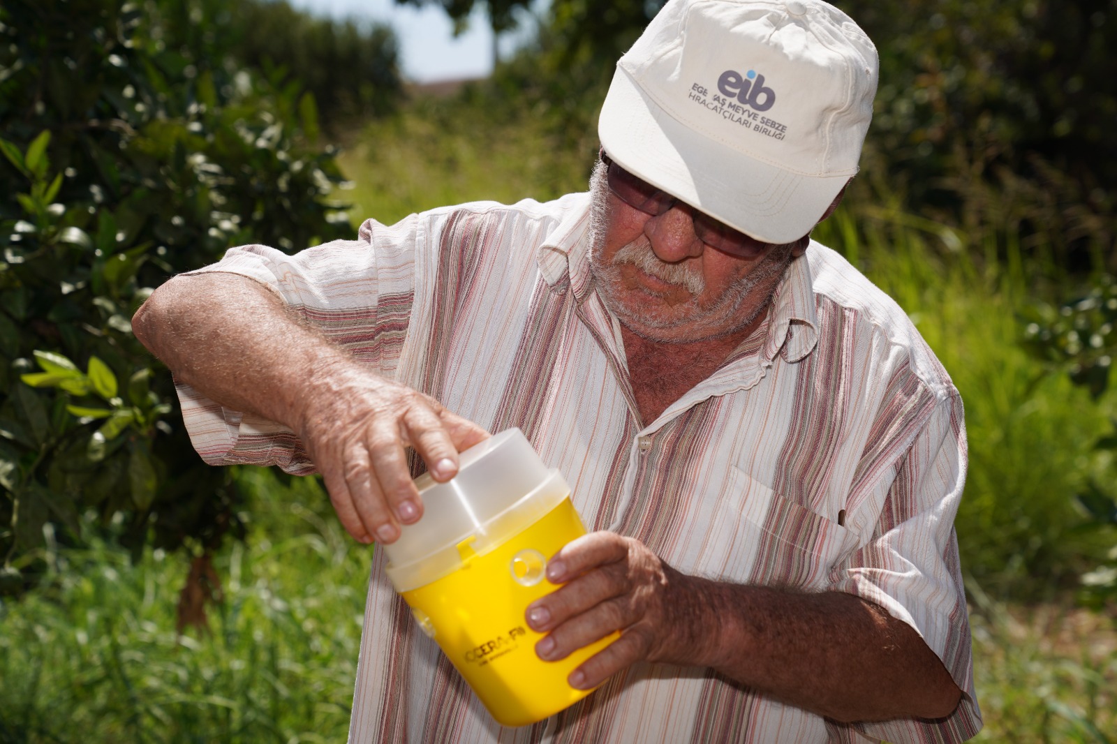 Karaburun'da narenciye kalitesi artıyor