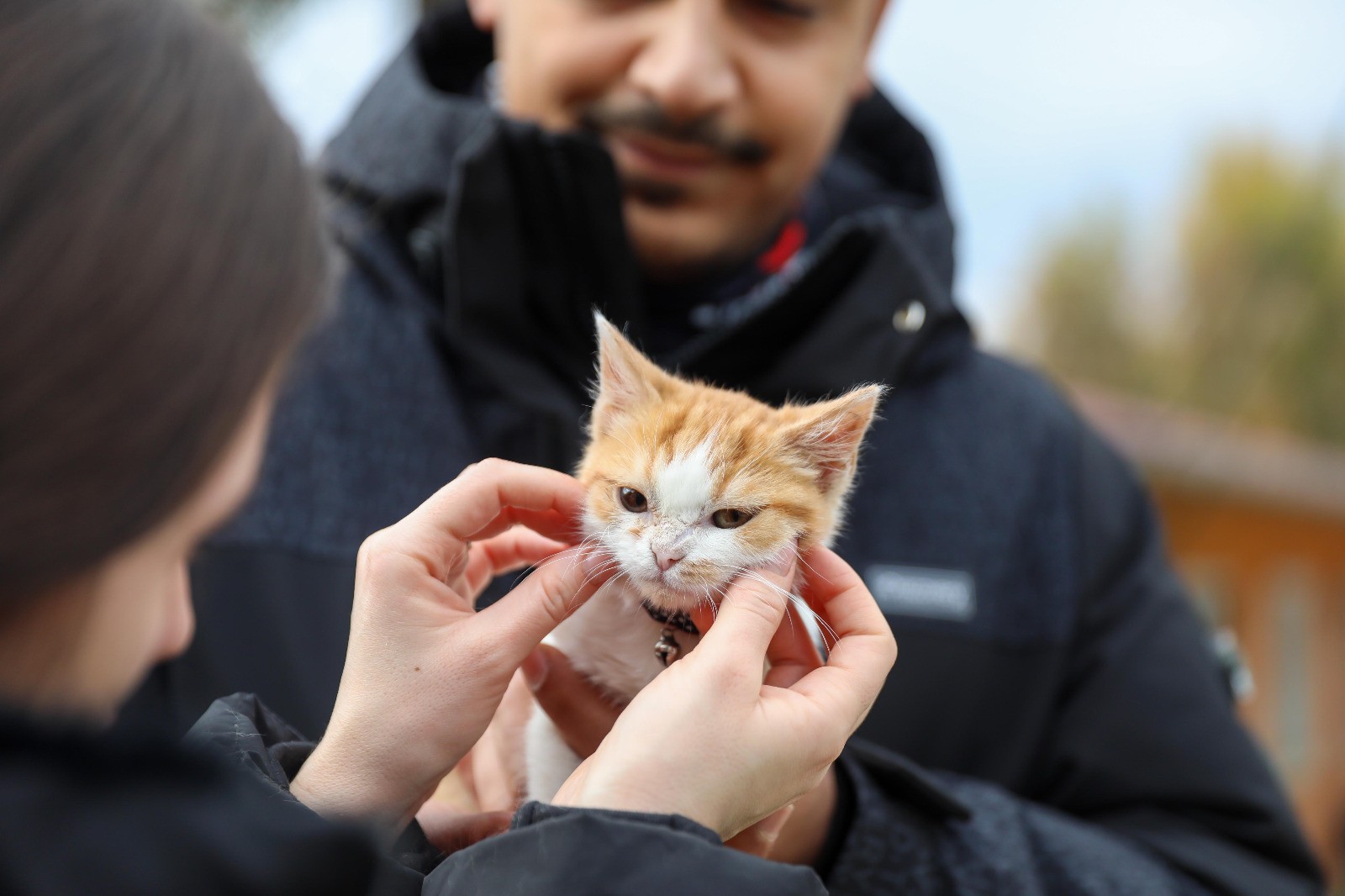 Buca Belediyesi can dostlarına umut oluyor