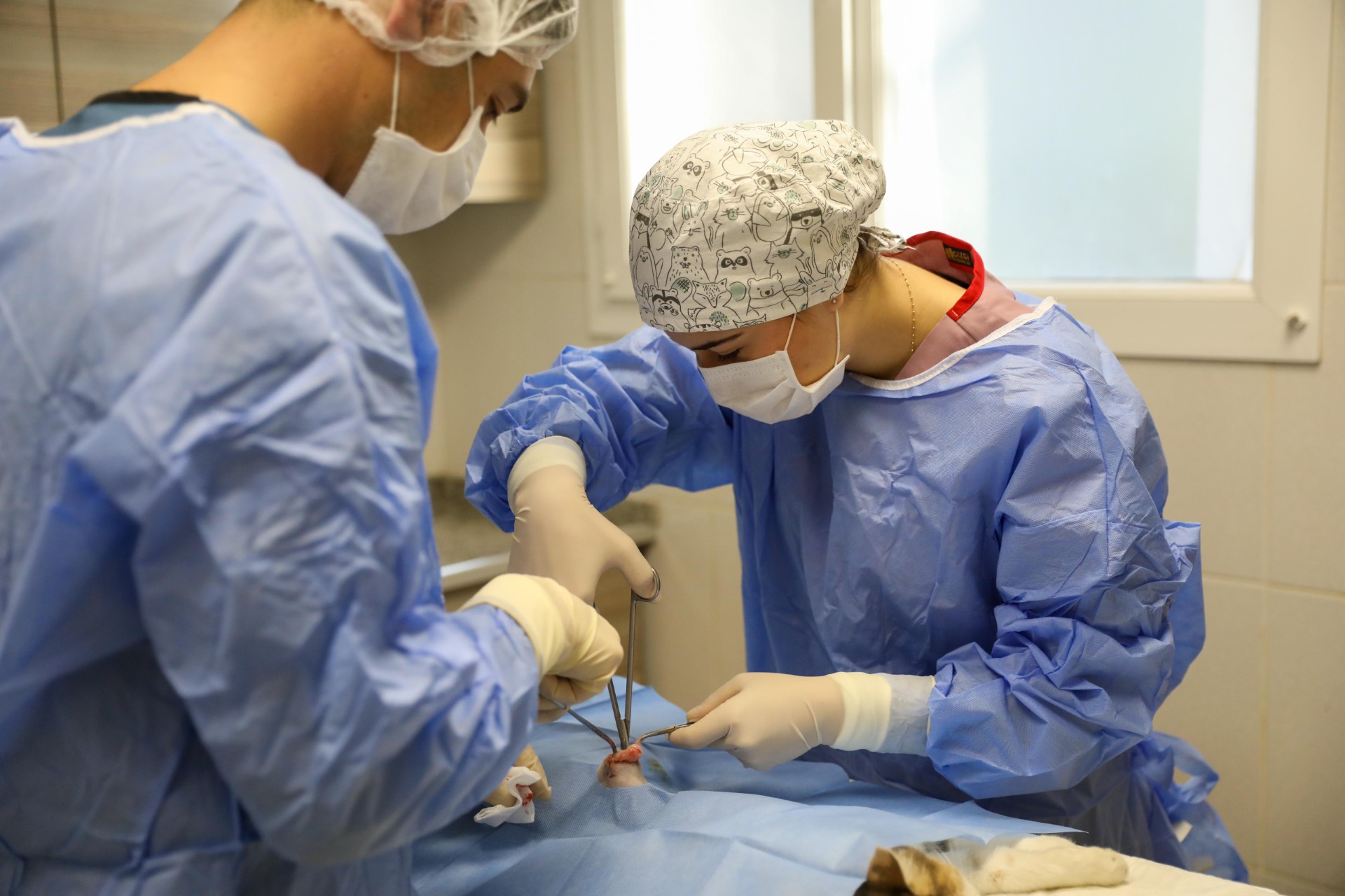 Buca Belediyesi can dostlarına umut oluyor