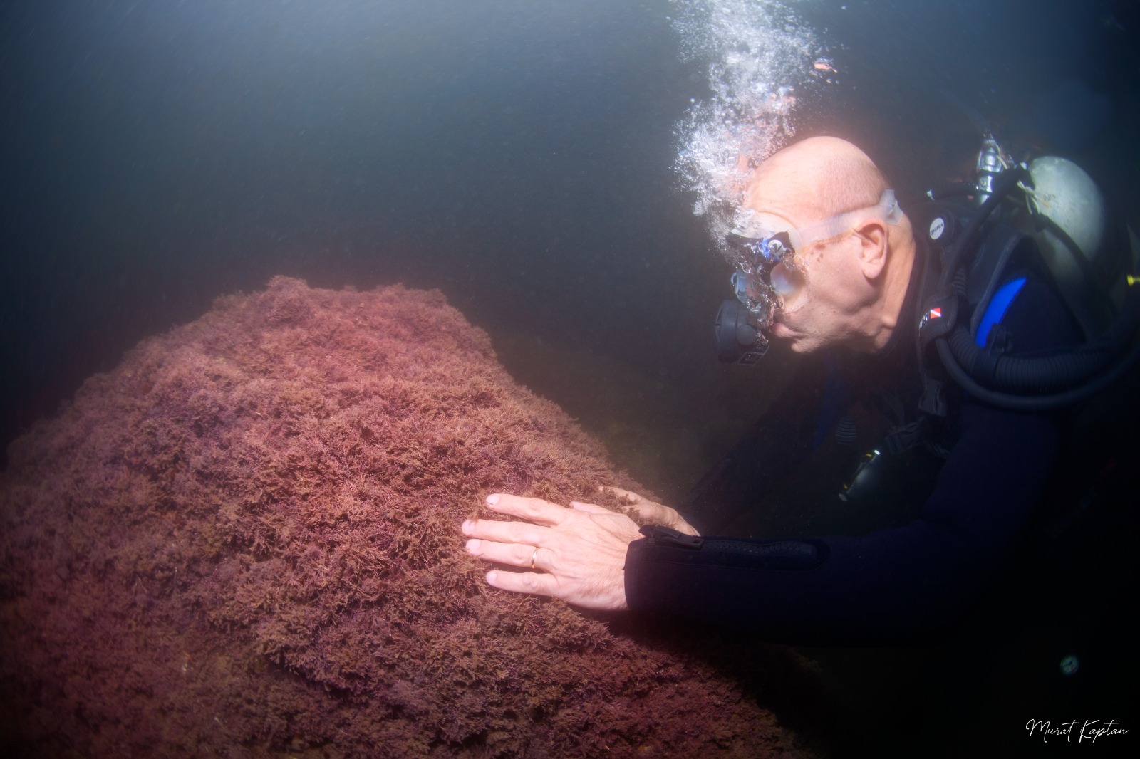 Başkan Soyer İzmir Körfezi’nde tüple dalış yaptı