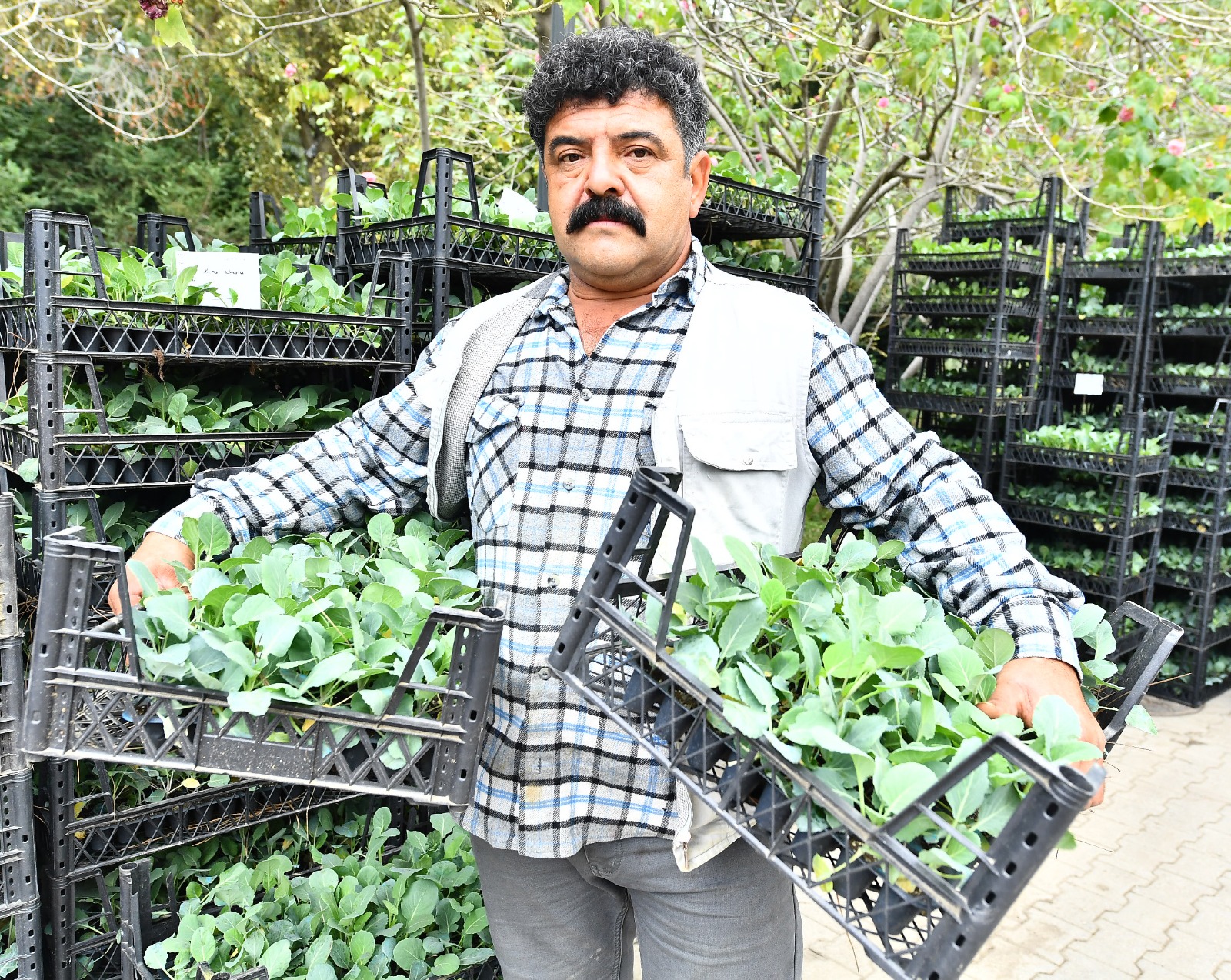 İzmir Büyükşehir’den 2023’te çiftçiye 1 milyon fide