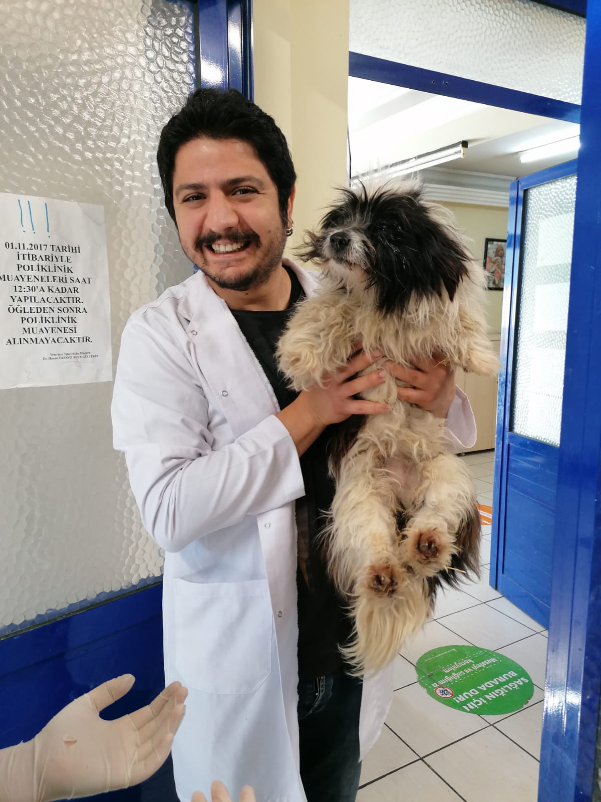 Büyükşehir’den can dostlar için “Pako”  mobil uygulaması