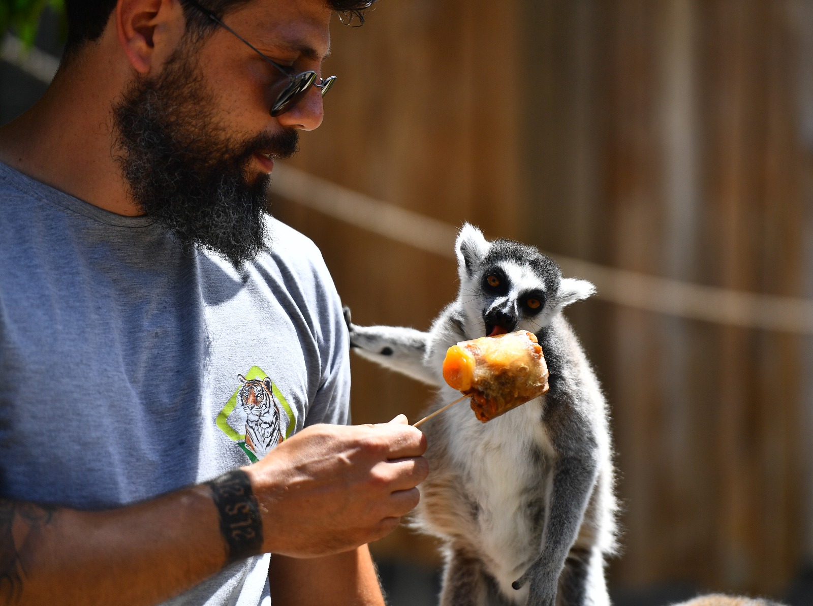 Doğal Yaşam Parkı sakinlerini serinleten menü
