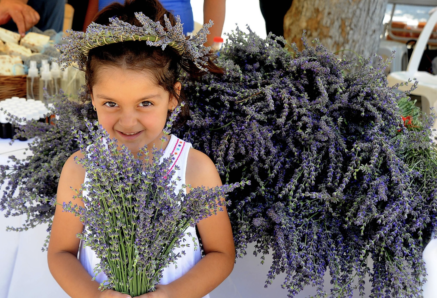 Seferihisar'da lavanta hasadı zamanı