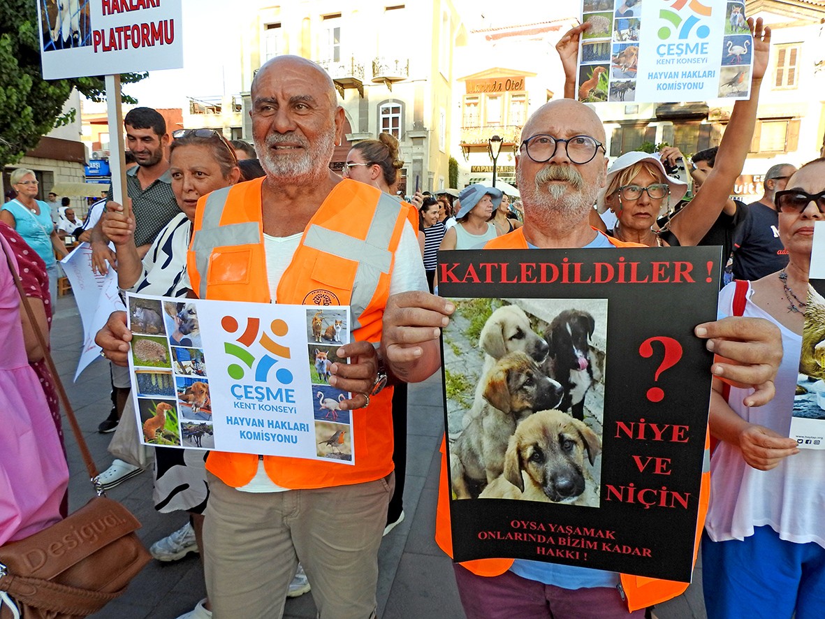 Çeşme'de hayvanseverler ses yükseltti: "Katliam Yasasına Hayır!"