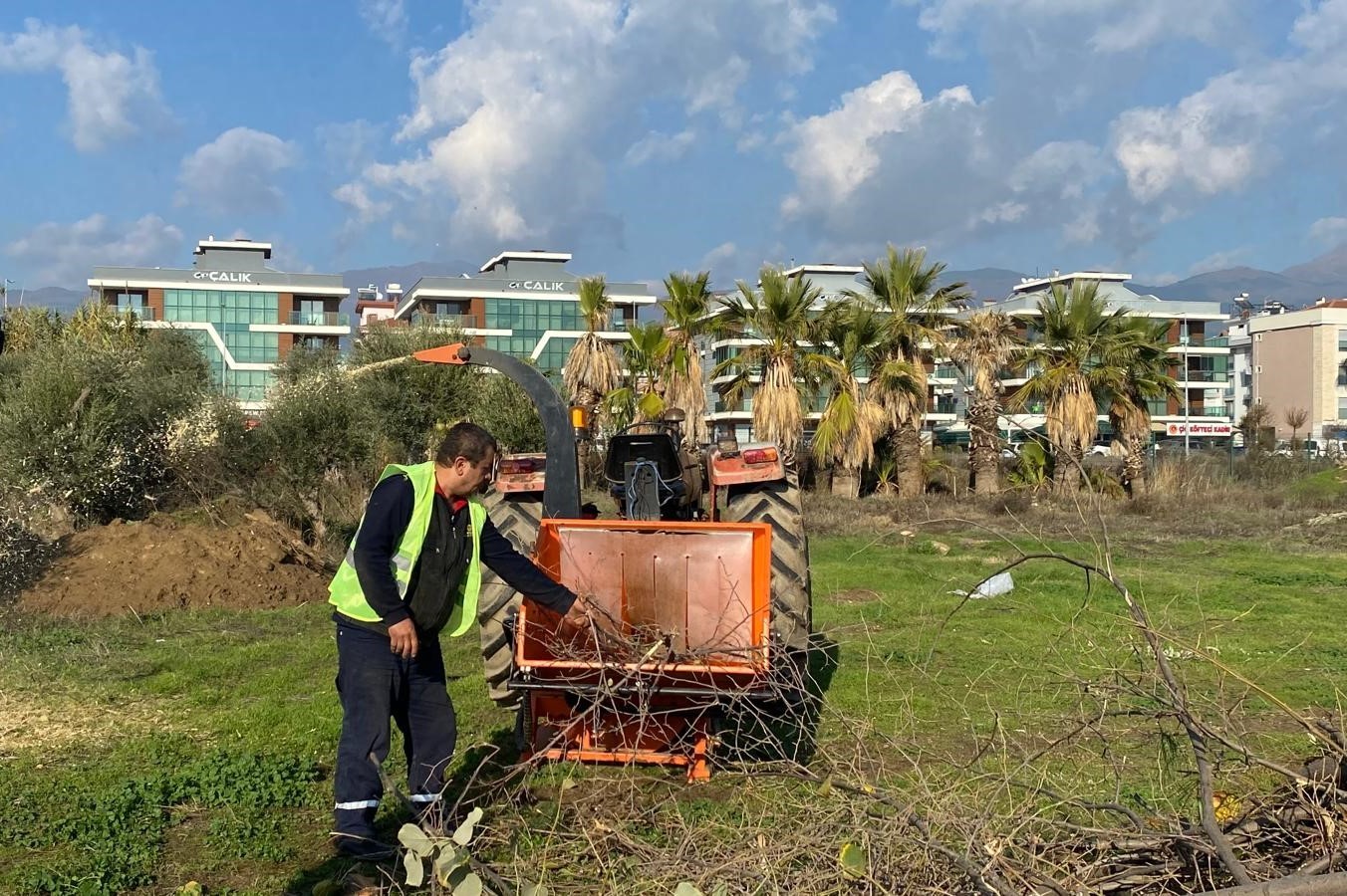 Budanan ağaçlar ihtiyaç sahiplerine yakacak oluyor