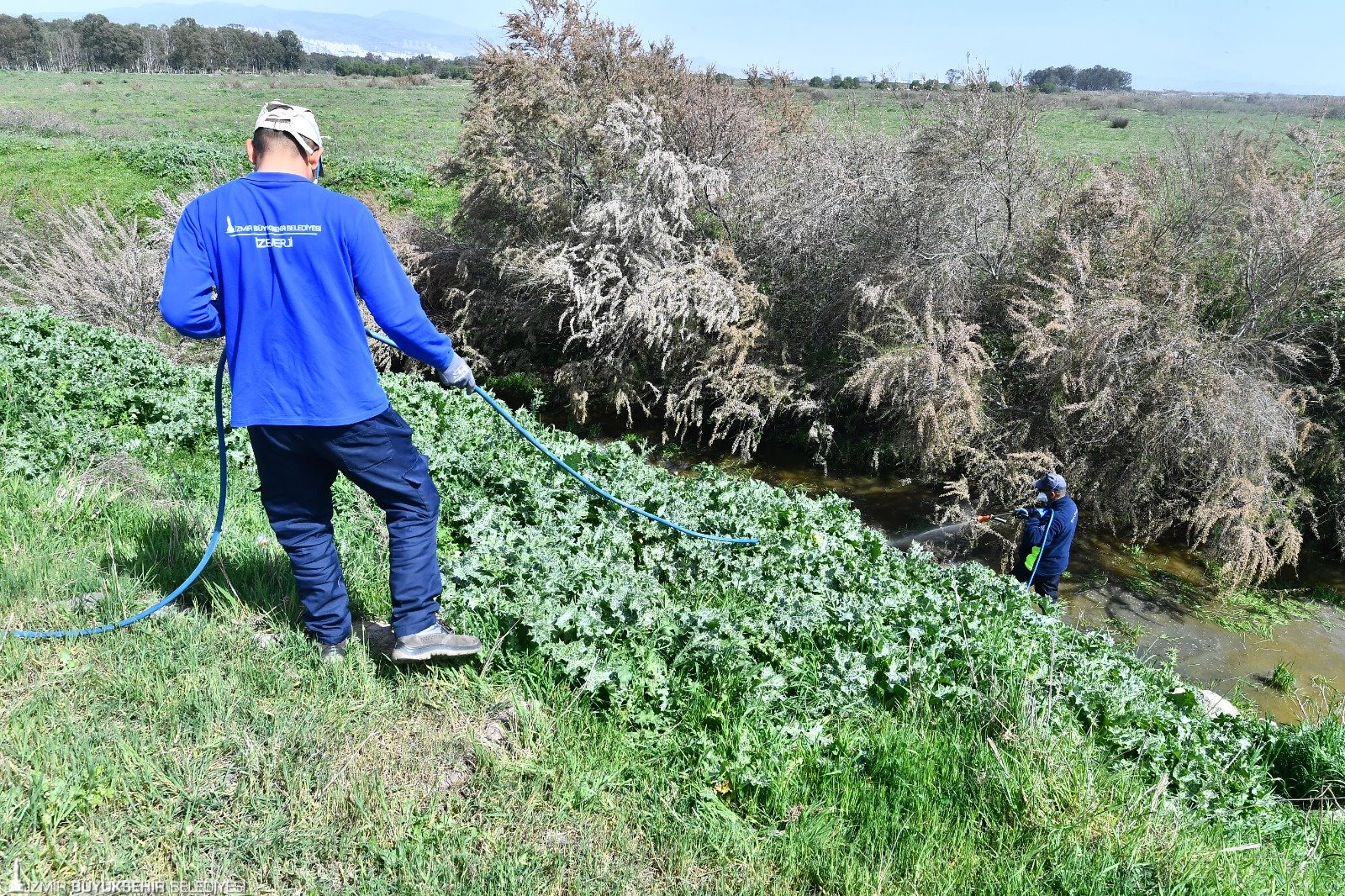 İzmir Büyükşehir Belediyesi ilaçlama çalışmalarına hız verdi