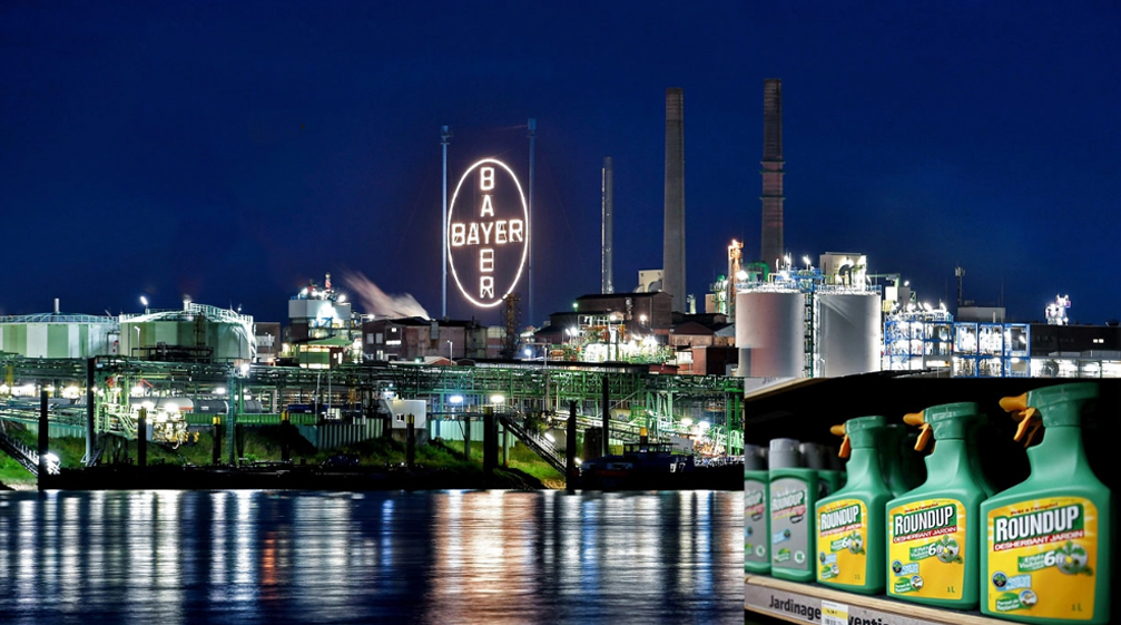 Dünyada yasaklanan Roundup Tarım İlacı Türkiye'de kullanılmaya devam ediliyor: Kanser saçıyor!