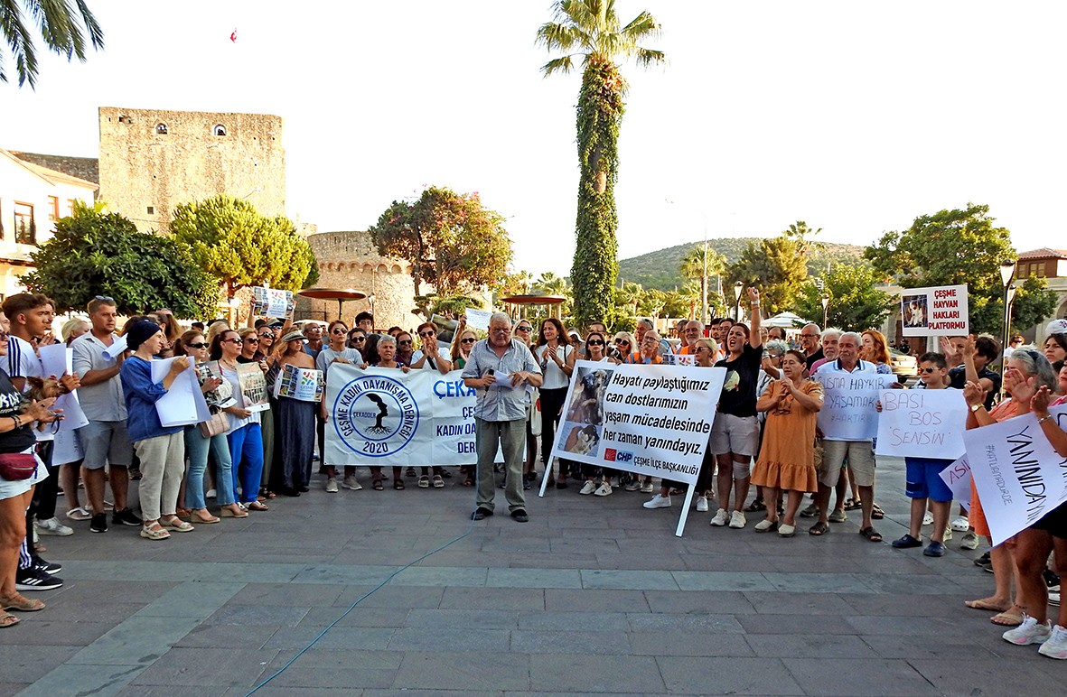 Çeşme'de hayvanseverler ses yükseltti: "Katliam Yasasına Hayır!"