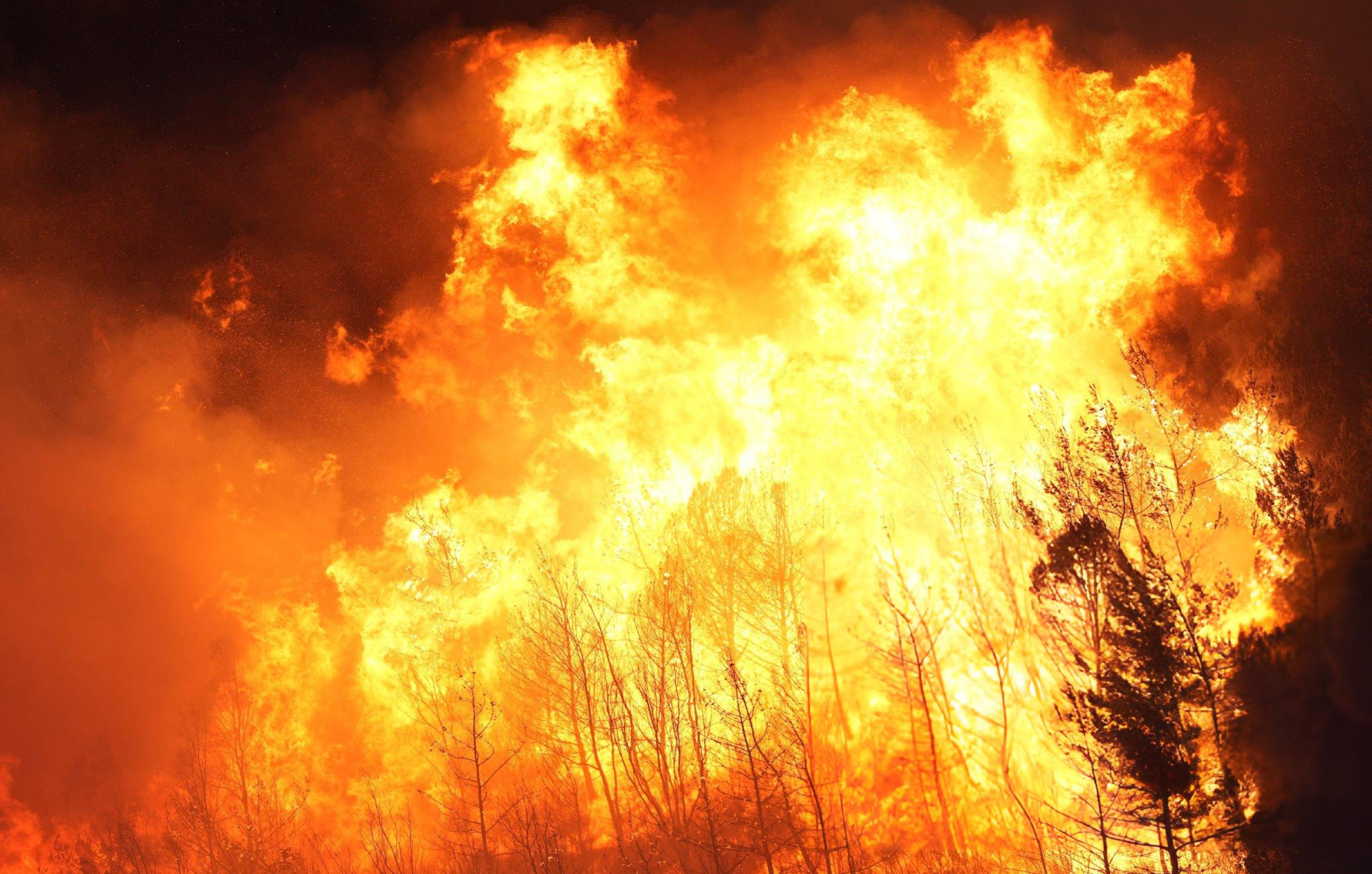 Karşıyaka'daki orman yangını; 87 ev boşaltıldı, 16 ev yandı