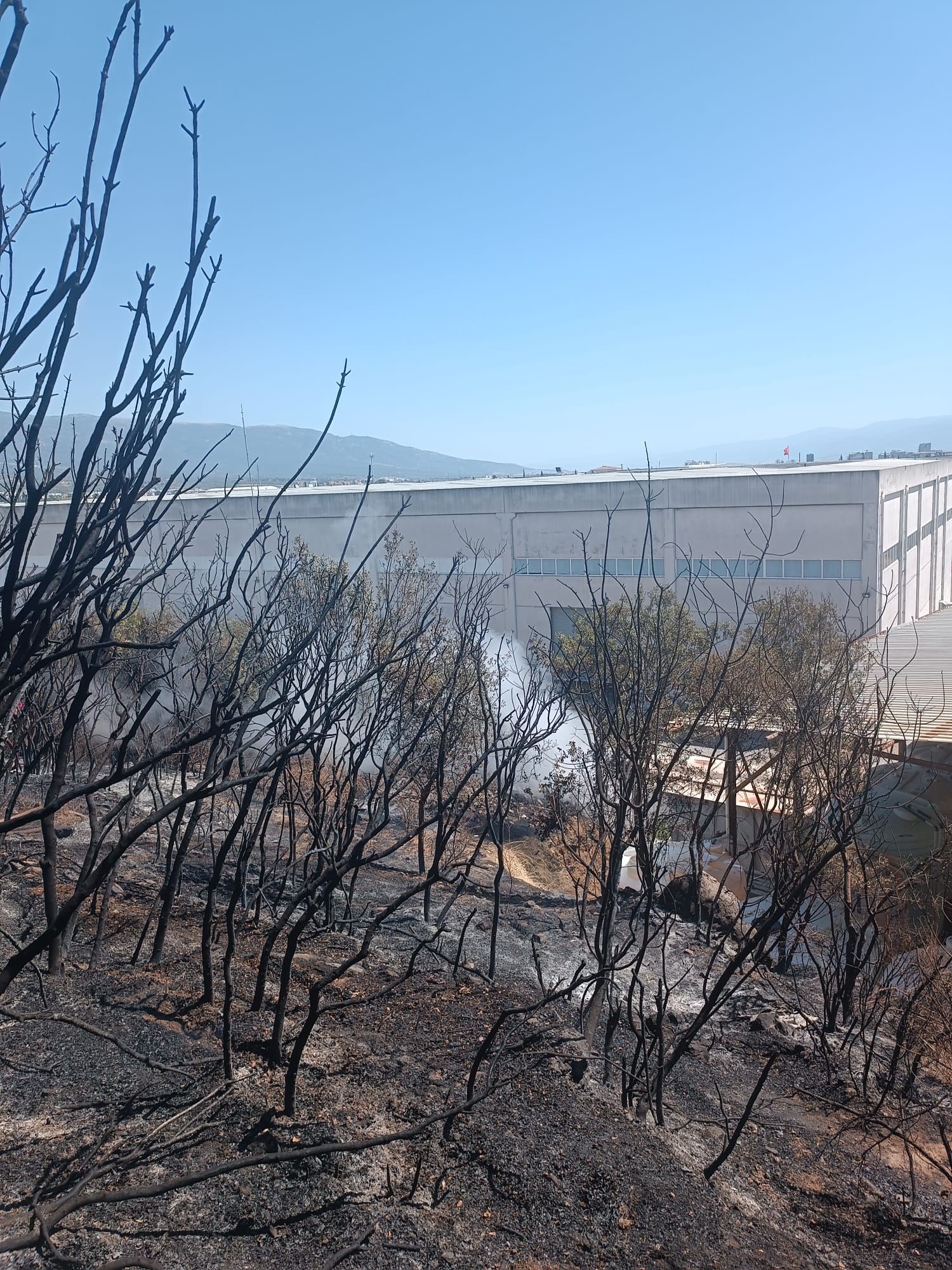 İzmir’de yangın fabrikalara ulaşmadan kontrol altına alındı