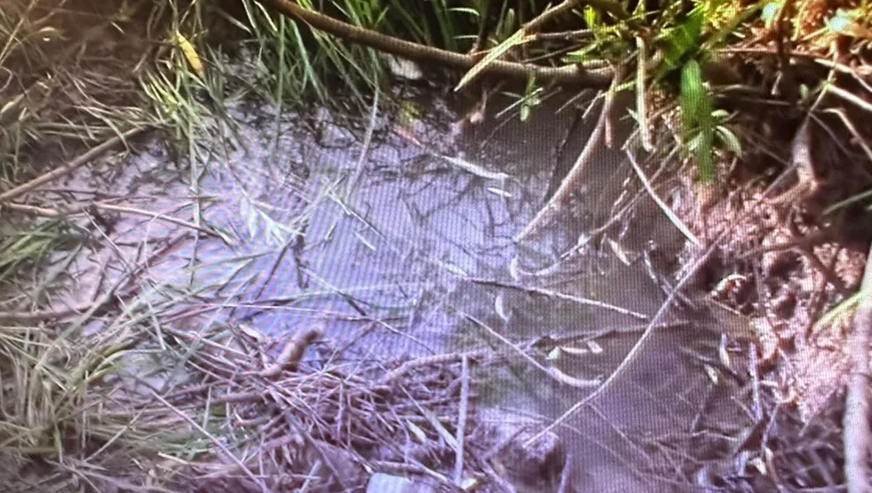 İtirafçı Nevzat Bahtiyar'ın olay yeri keşif görüntüleri ortaya çıktı