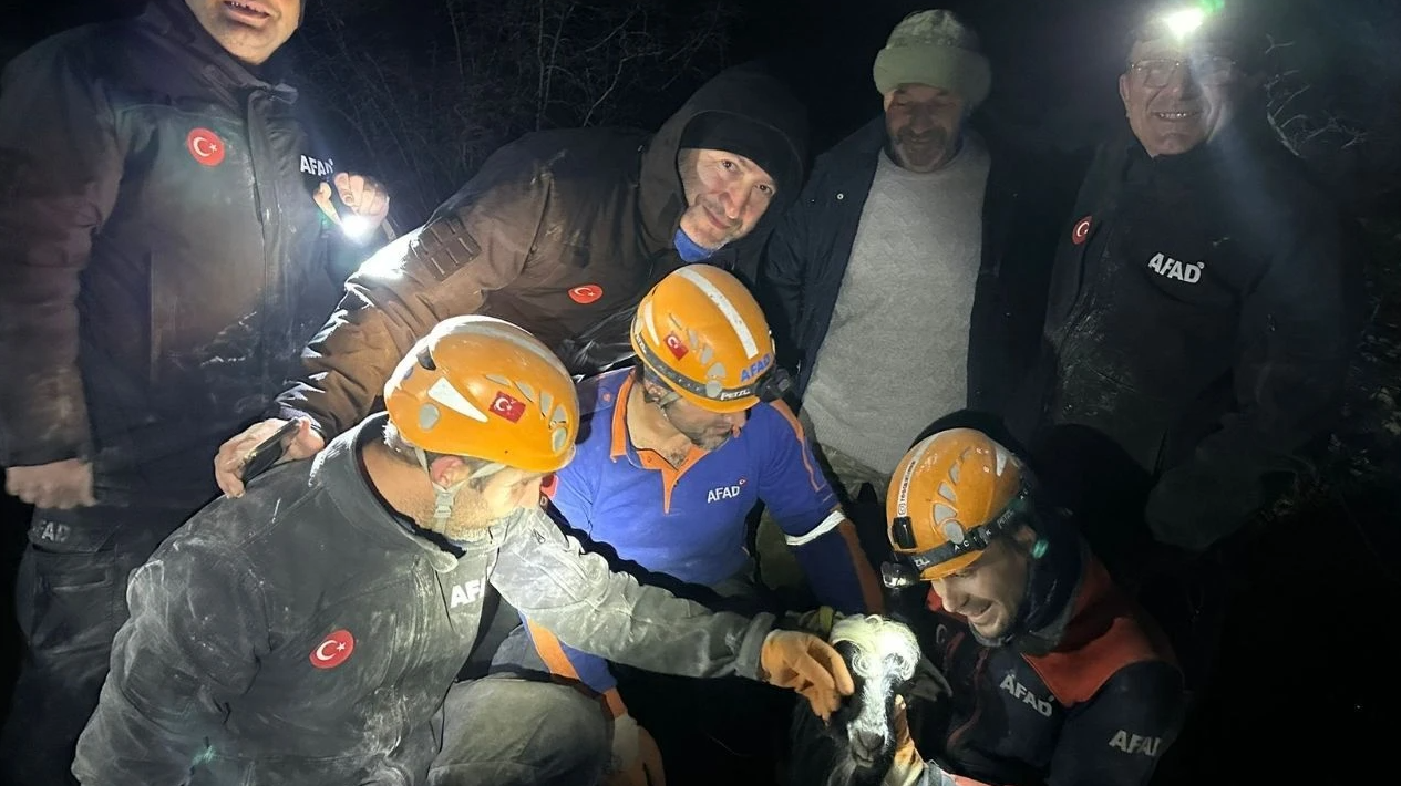 AFAD ekibi dağda mahsur kalan keçiyi kurtardı