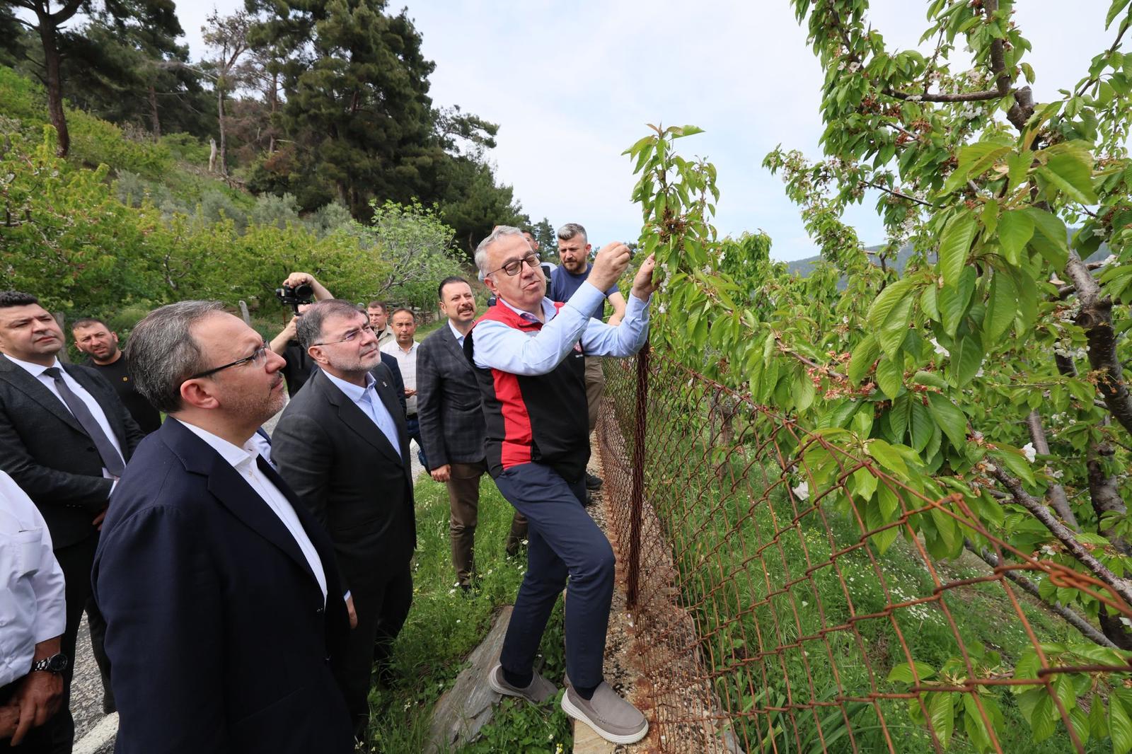 Kasapoğlu’ndan Zirai Don Mesajı: Çiftçilerimizin Yanındayız
