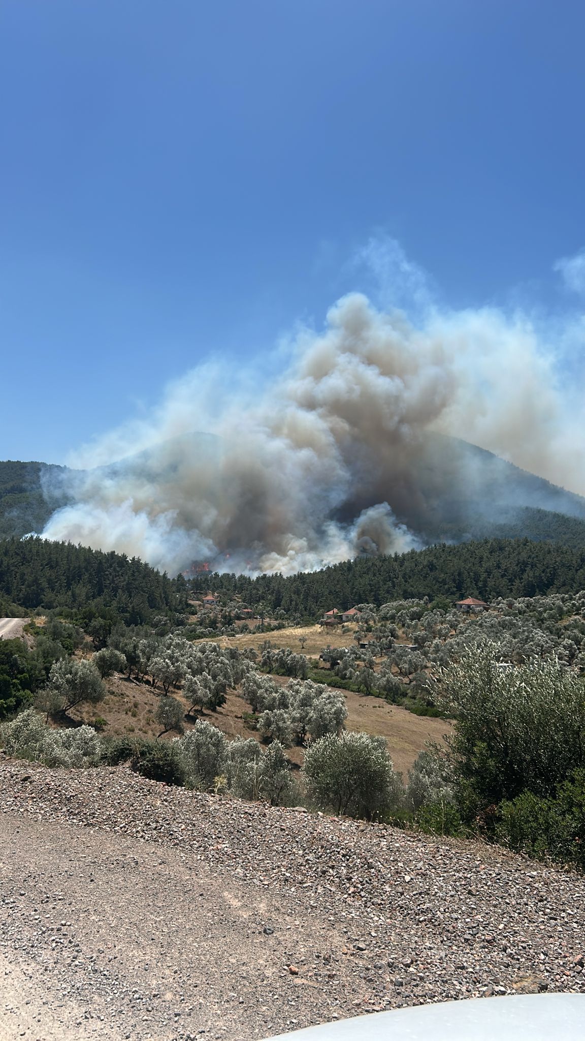 İzmir’de yangın ve fırtına teyakkuzu