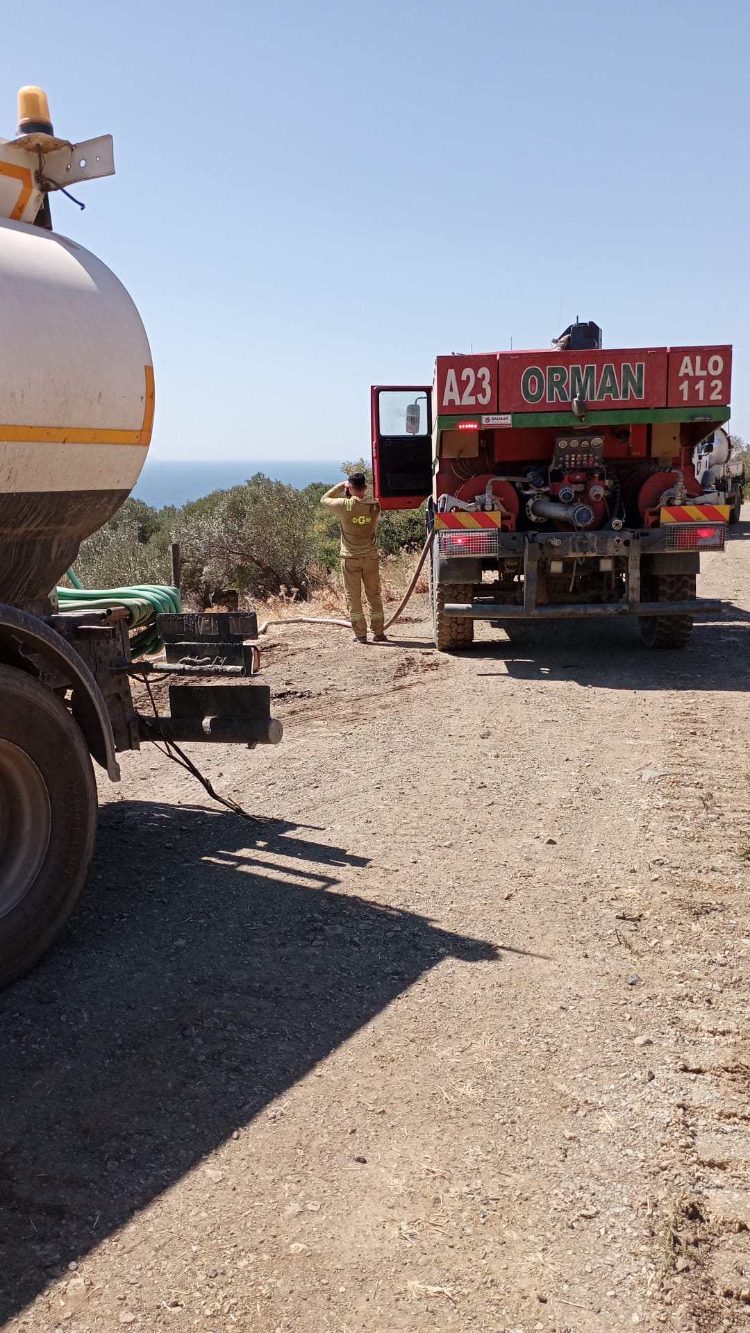 Urla'da Orman Yangını Alarmı: Ekipler Sahada