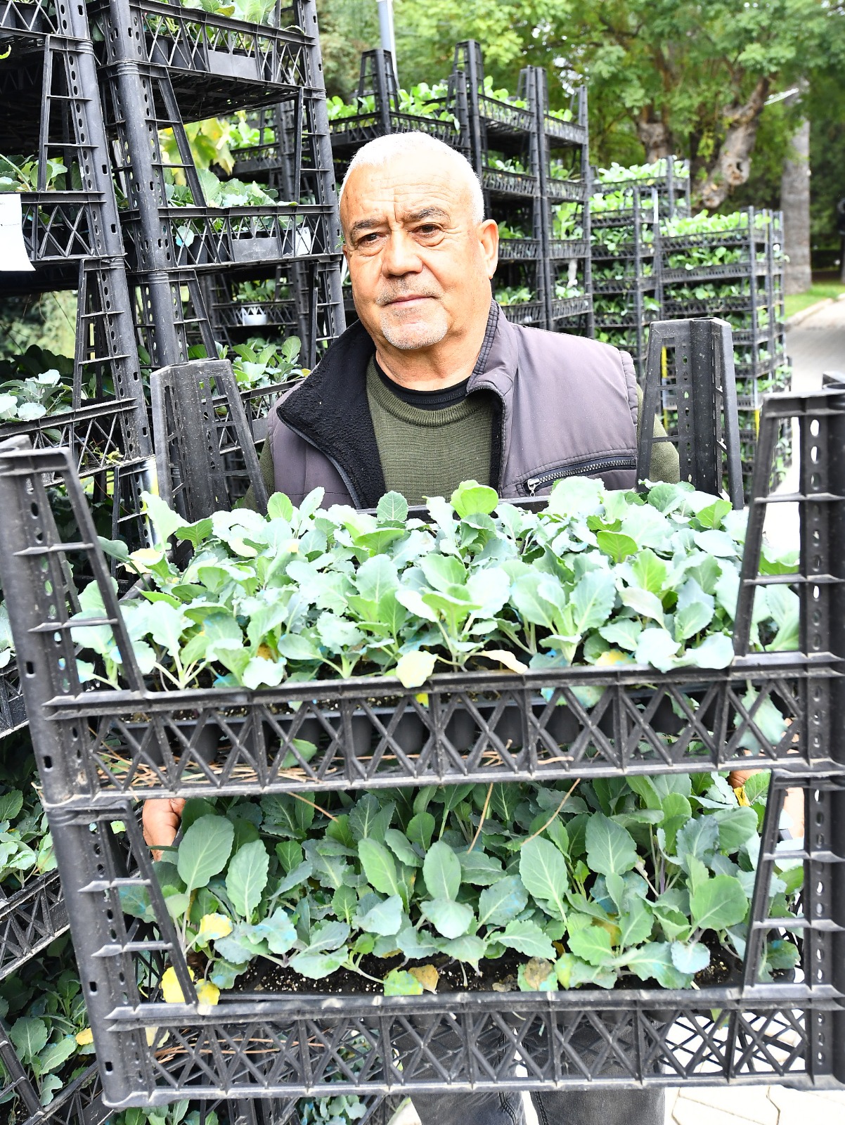 İzmir Büyükşehir’den 2023’te çiftçiye 1 milyon fide