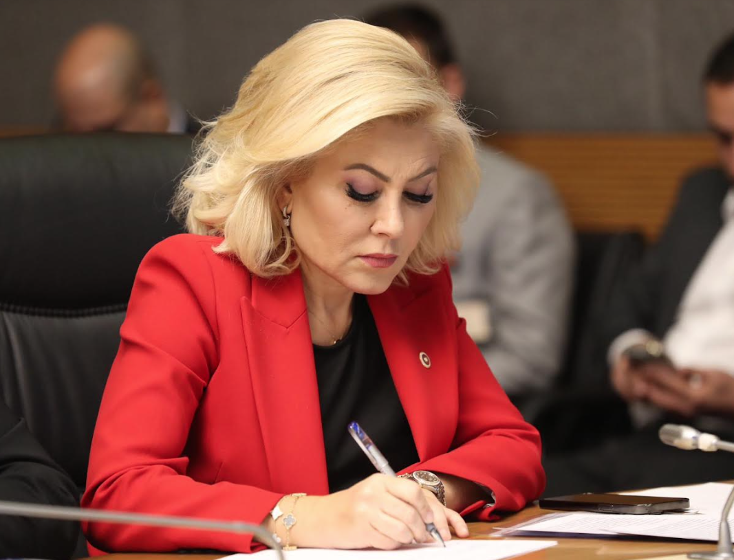 AK Partili Bursalı'dan 'Tiktok' açıklaması