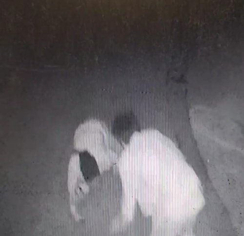 Laf atma cinayetinin görüntüleri ortaya çıktı