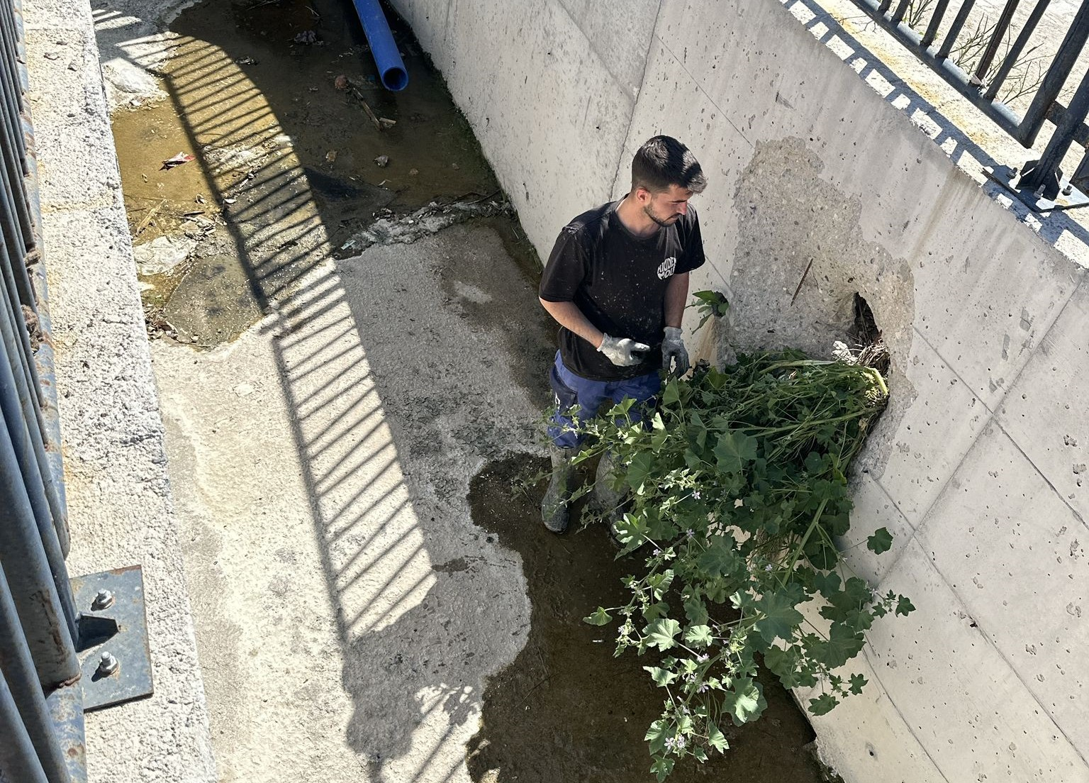 İZSU, yarımadayı yaza hazırlıyor